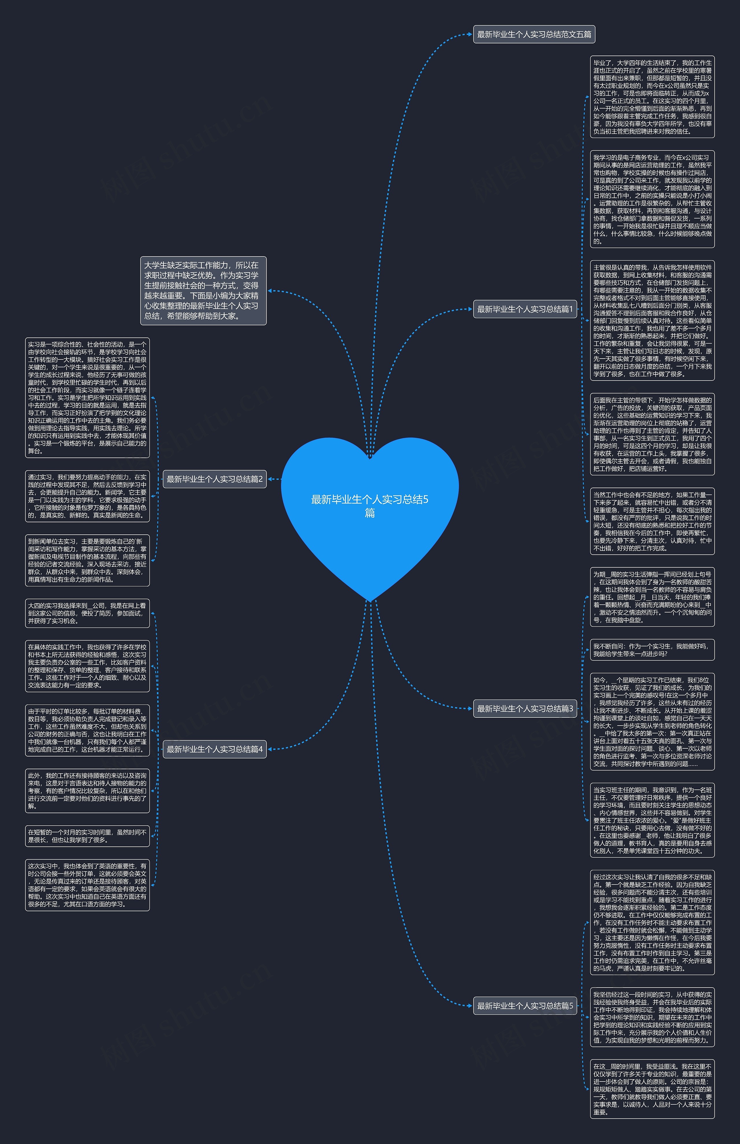 最新毕业生个人实习总结5篇思维导图