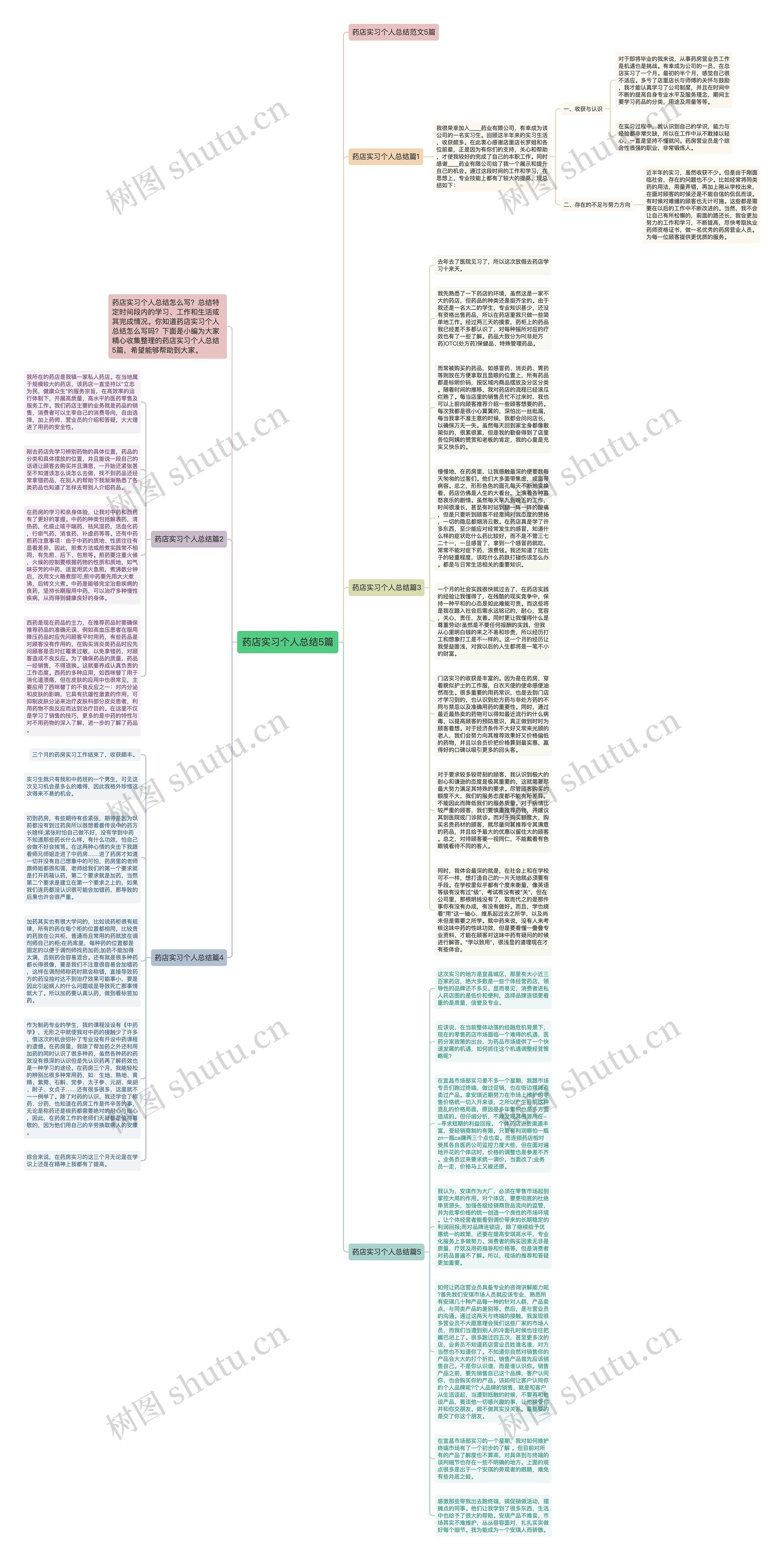 药店实习个人总结5篇思维导图