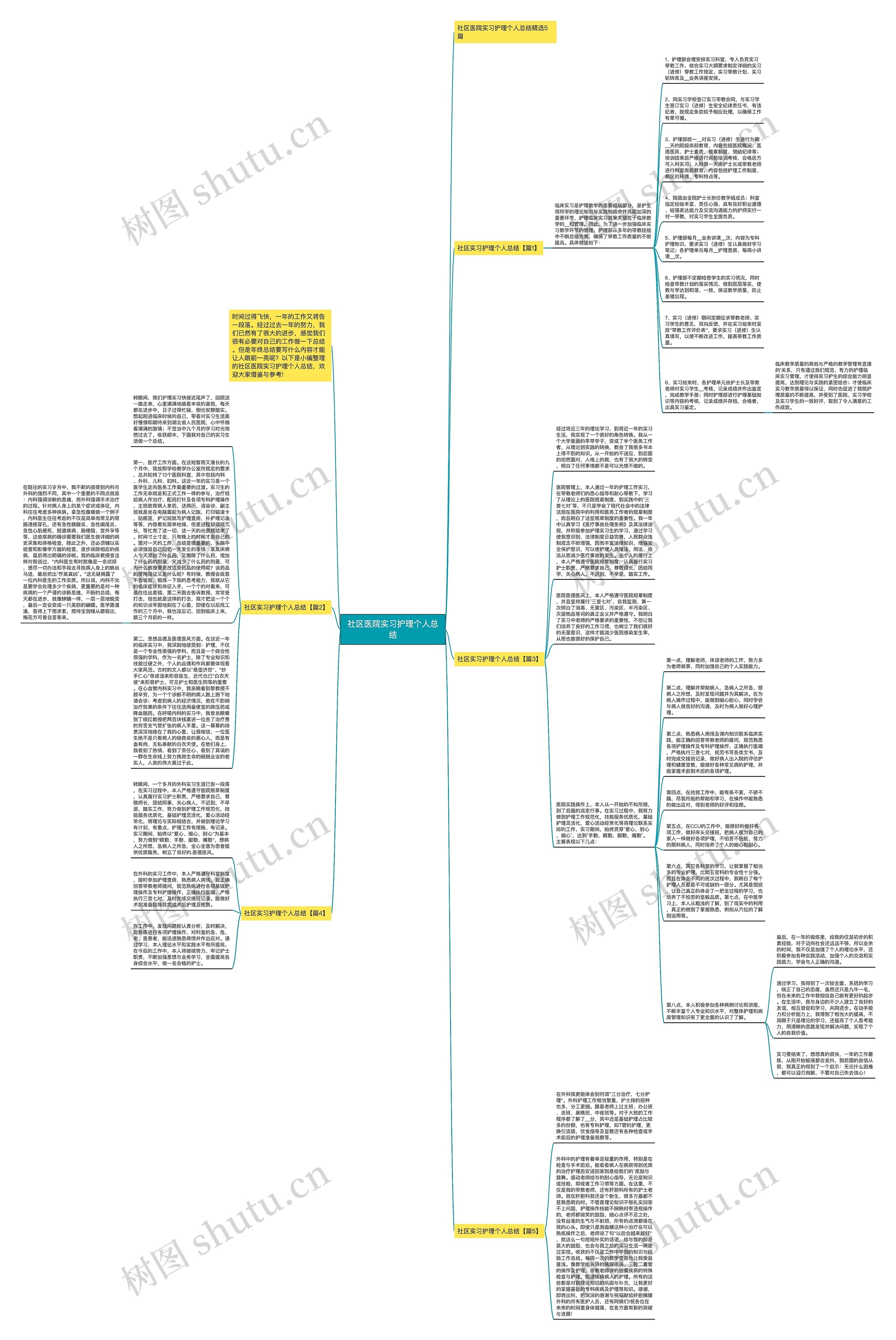 社区医院实习护理个人总结思维导图