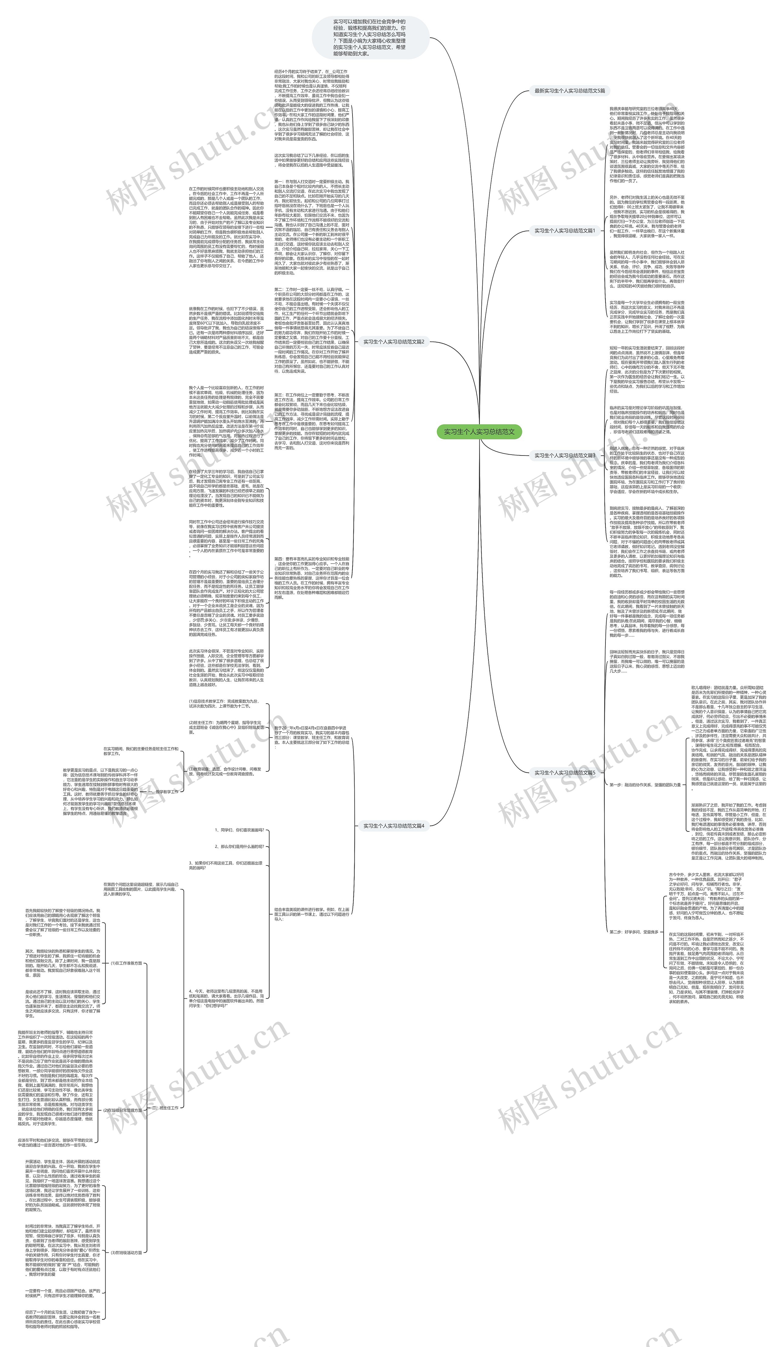 实习生个人实习总结范文思维导图