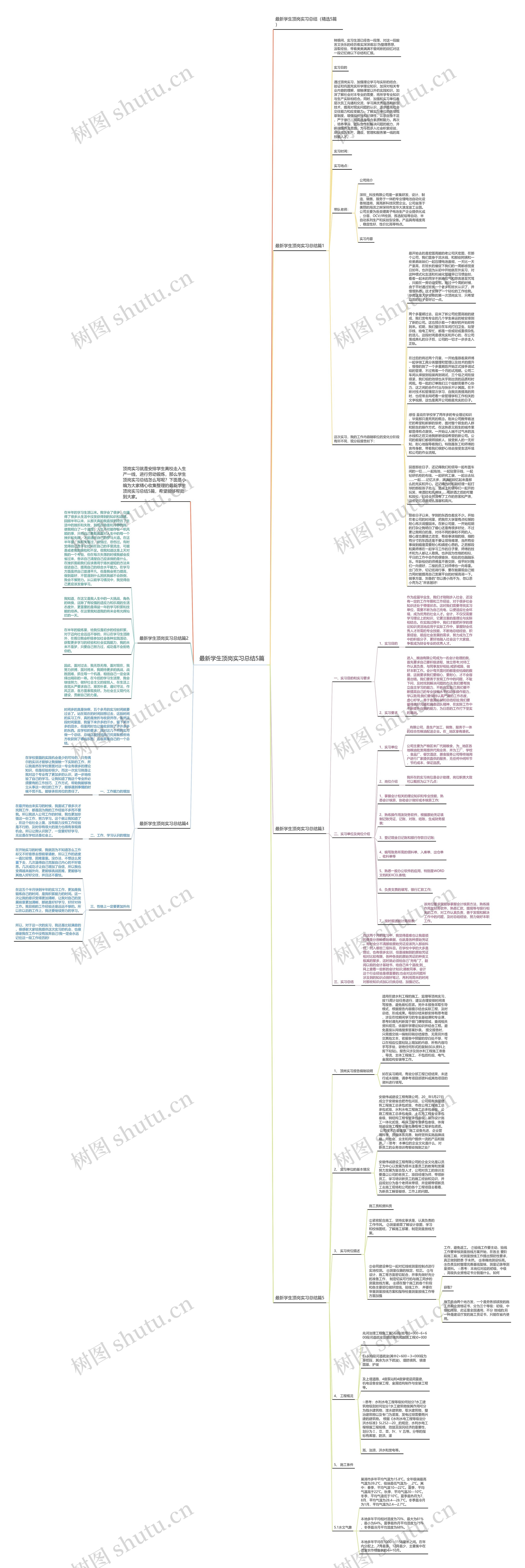 最新学生顶岗实习总结5篇思维导图