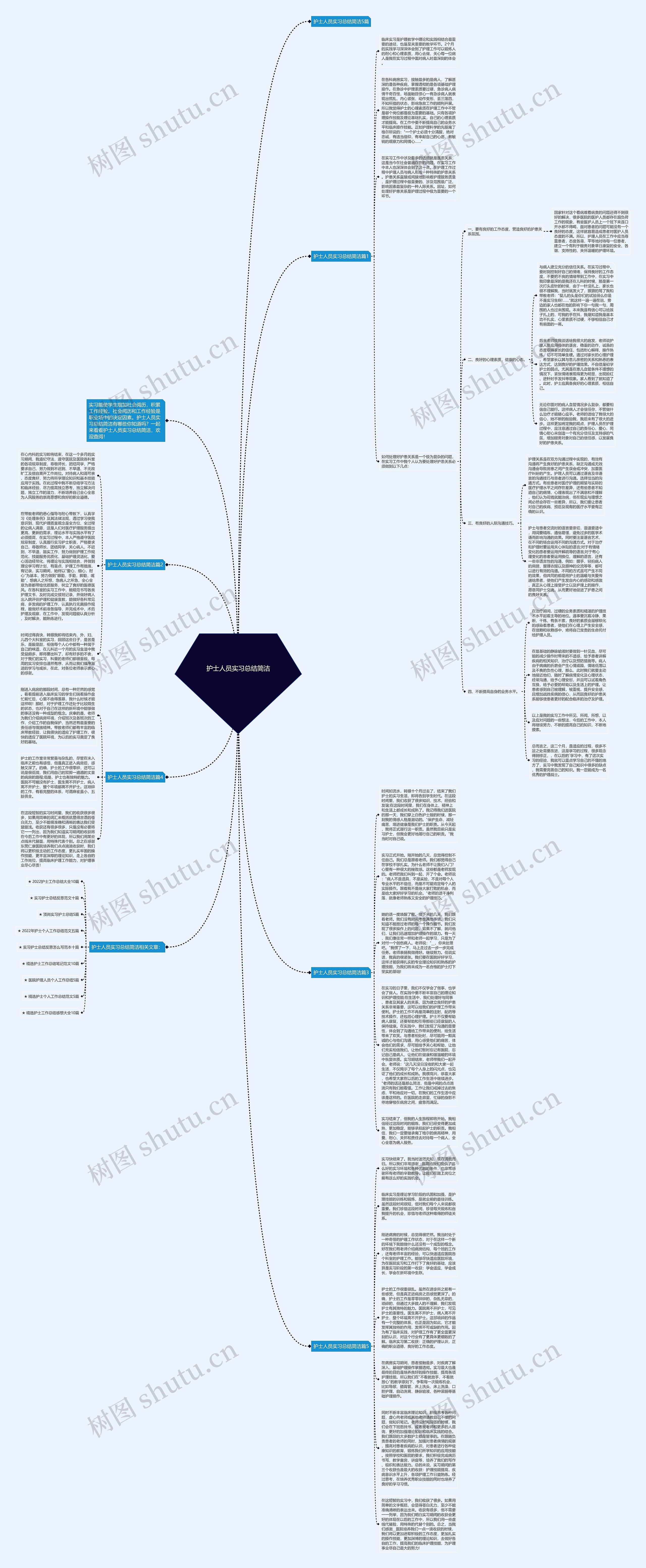 护士人员实习总结简洁思维导图