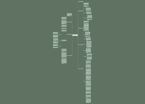 大学生毕业实习工作总结模板