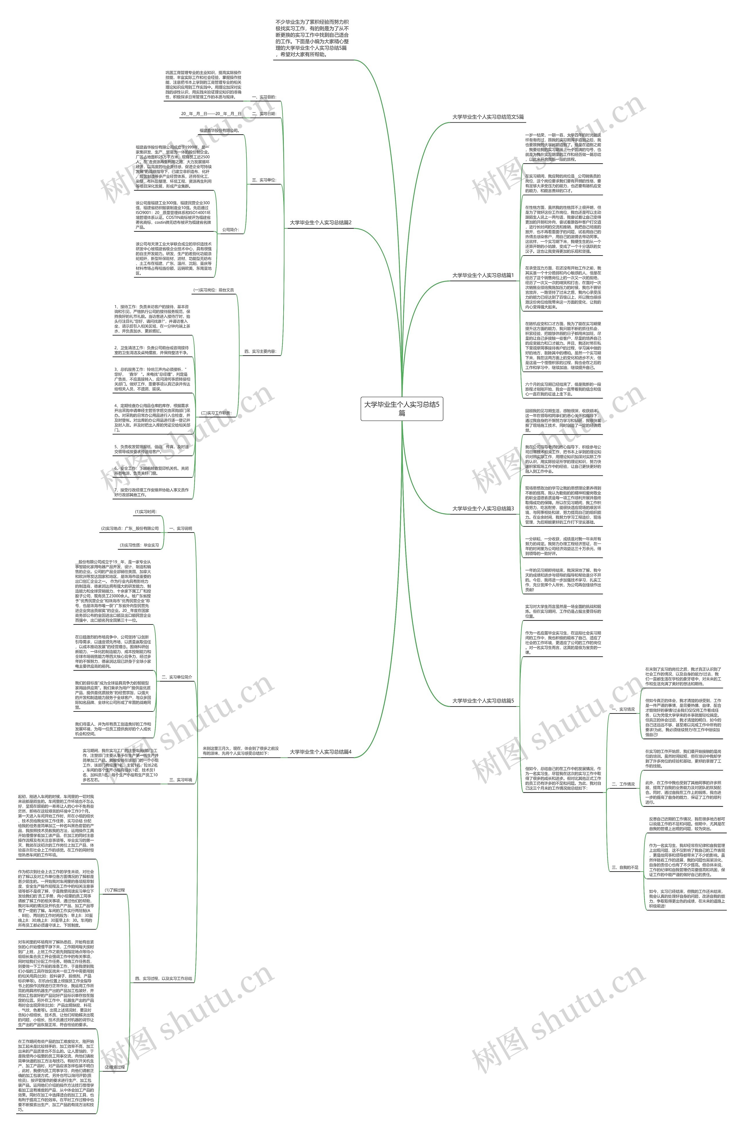 大学毕业生个人实习总结5篇思维导图