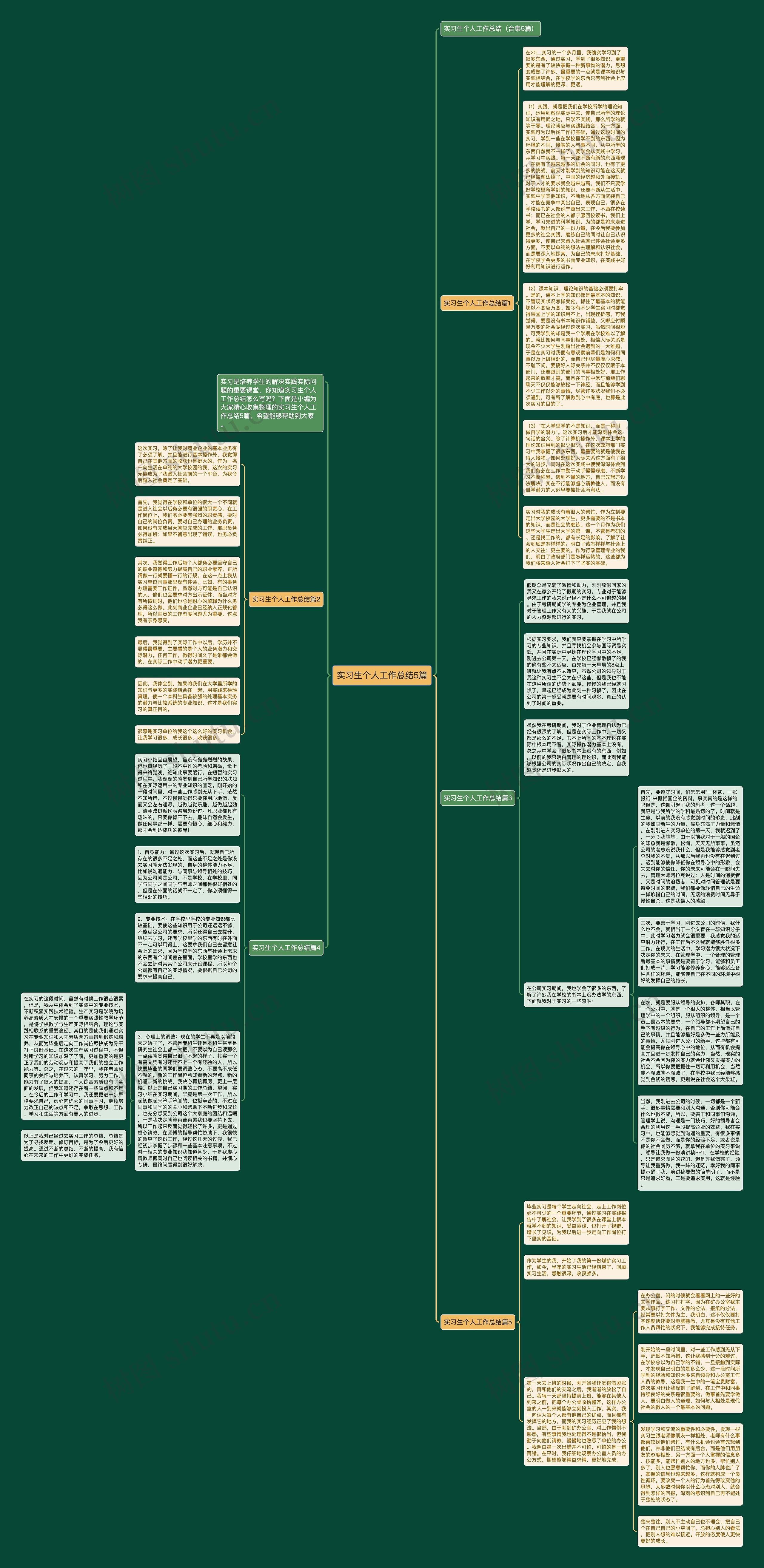 实习生个人工作总结5篇思维导图
