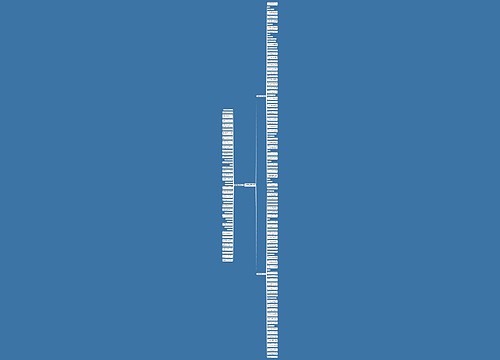 开业回馈会员的句子精选145句