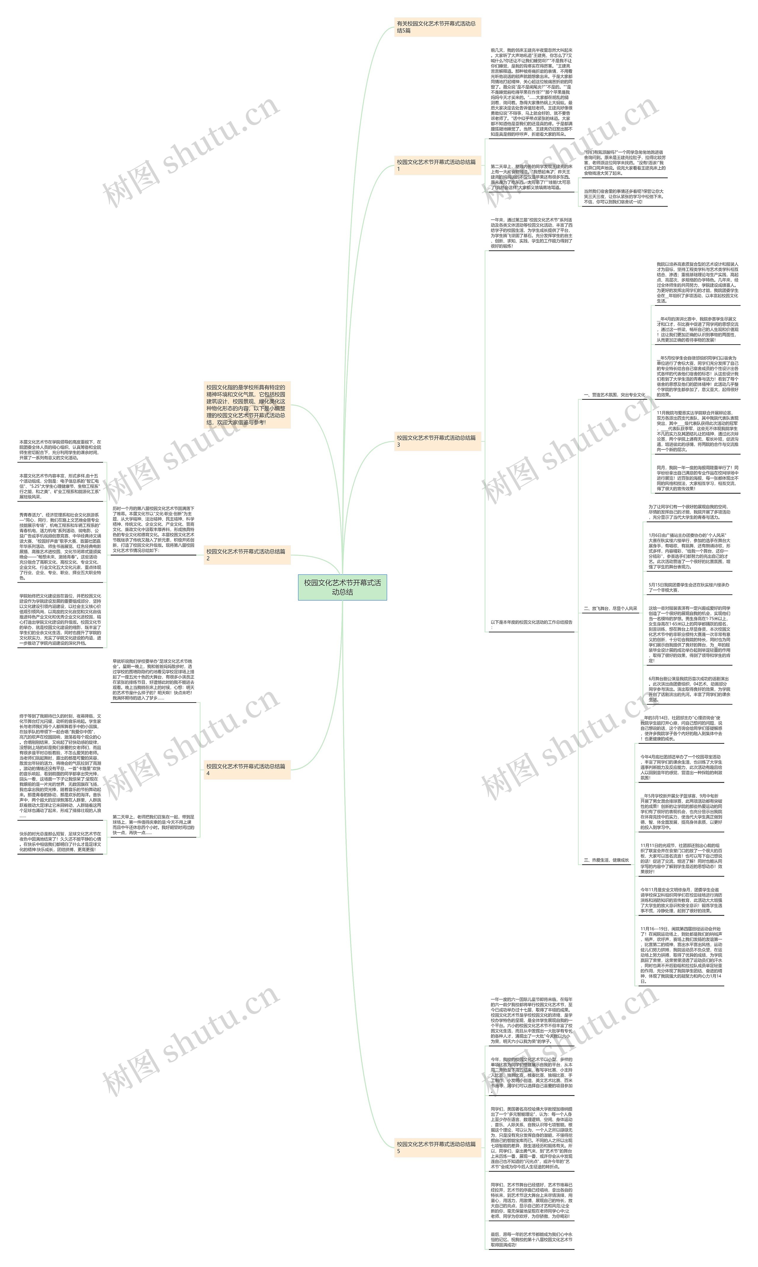 校园文化艺术节开幕式活动总结思维导图