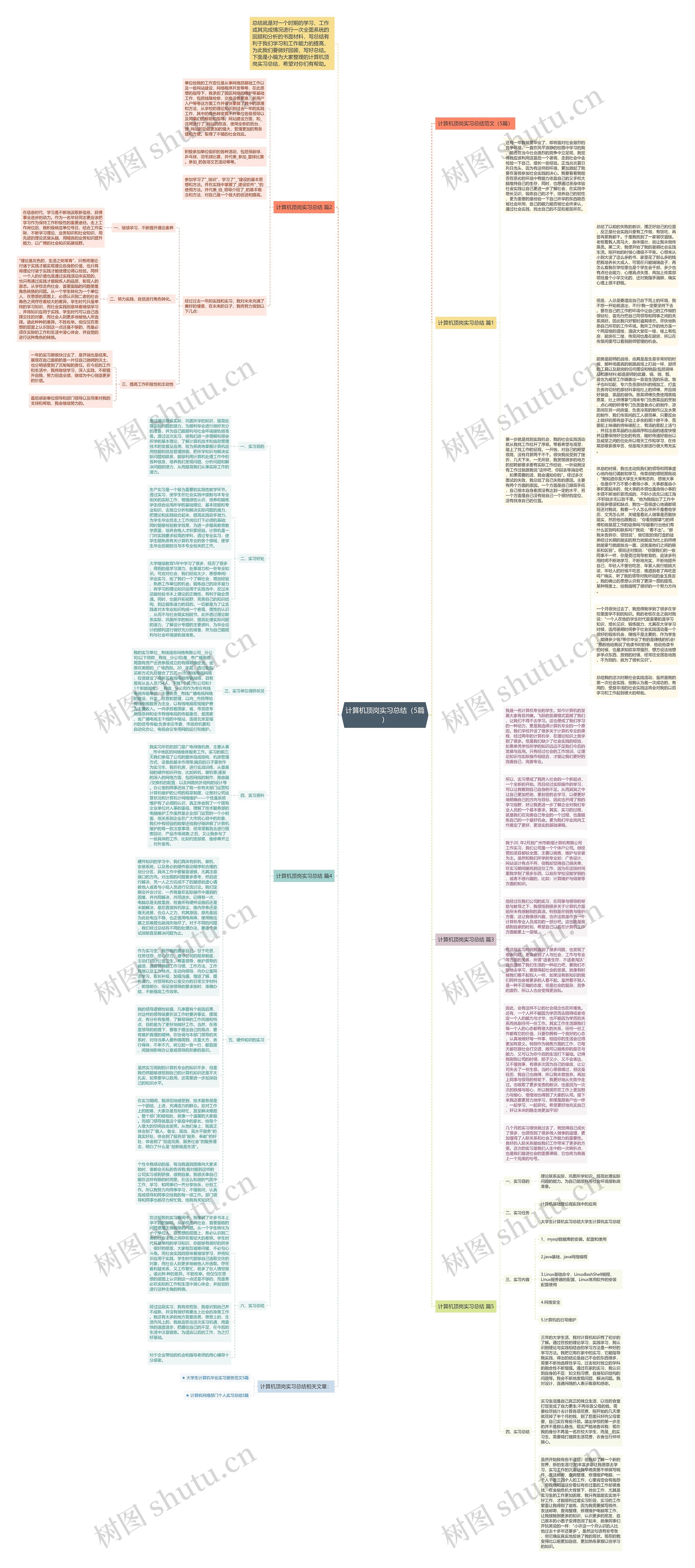 计算机顶岗实习总结（5篇）思维导图