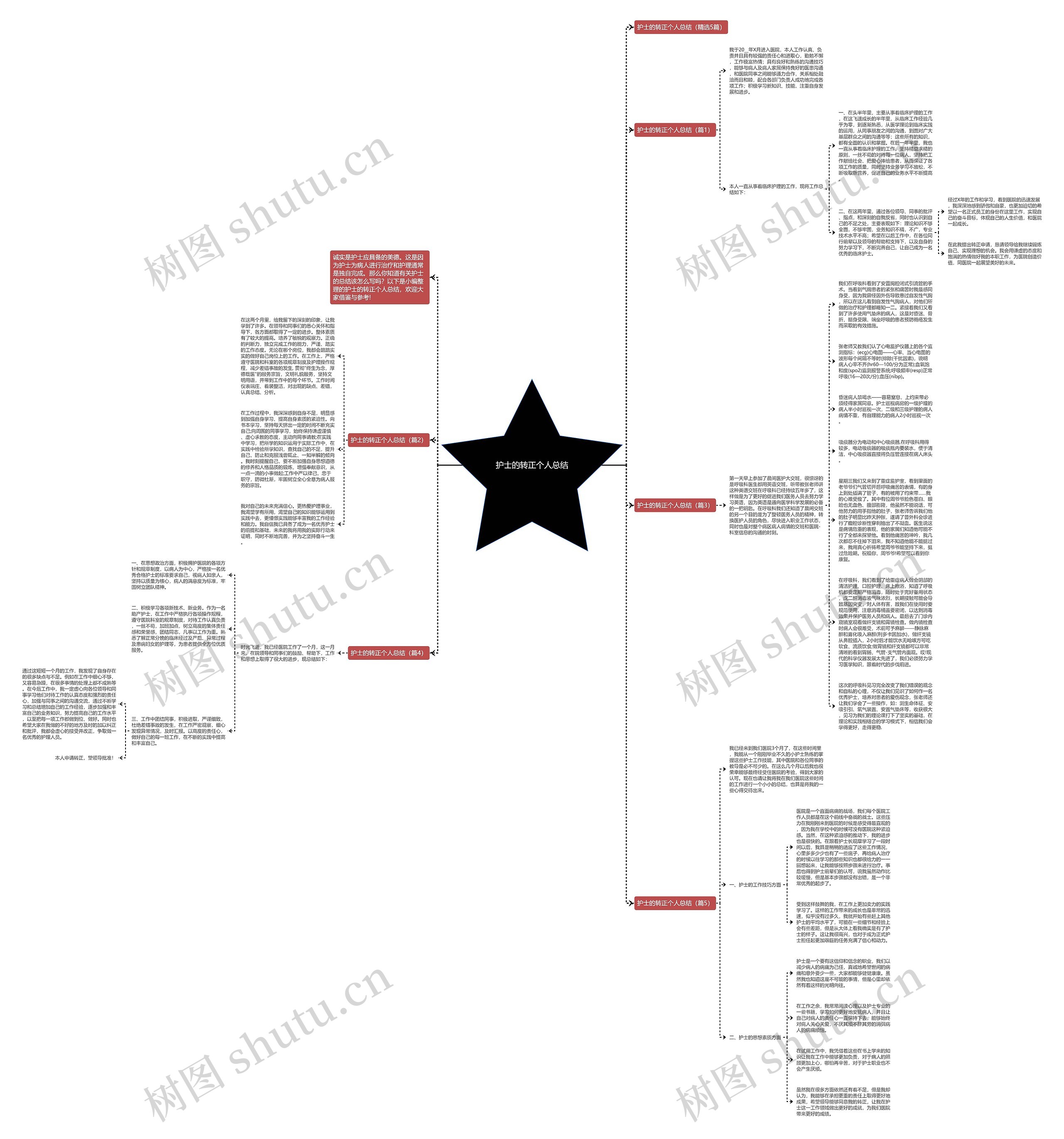 护士的转正个人总结思维导图