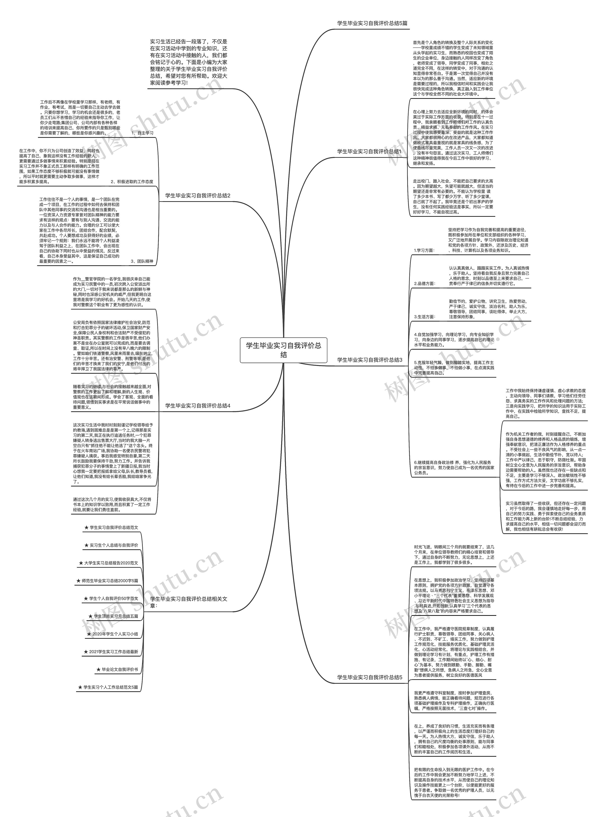 学生毕业实习自我评价总结思维导图