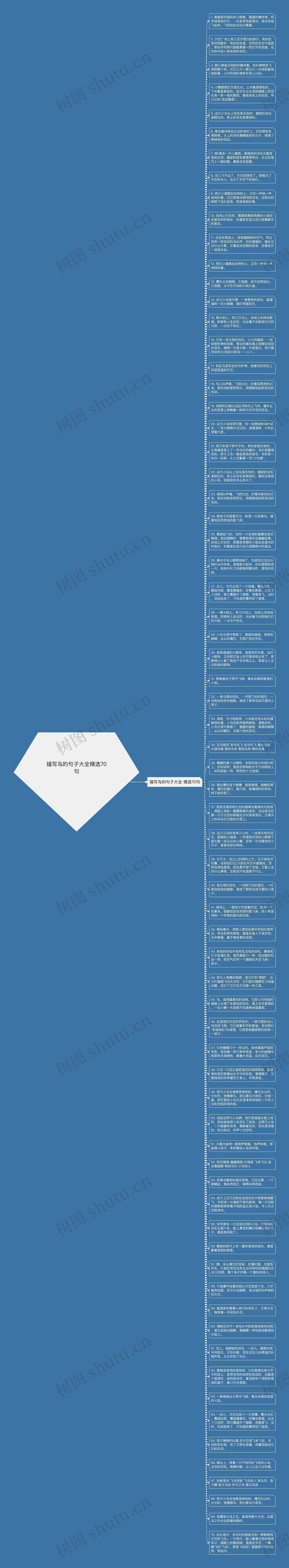 描写鸟的句子大全精选70句思维导图