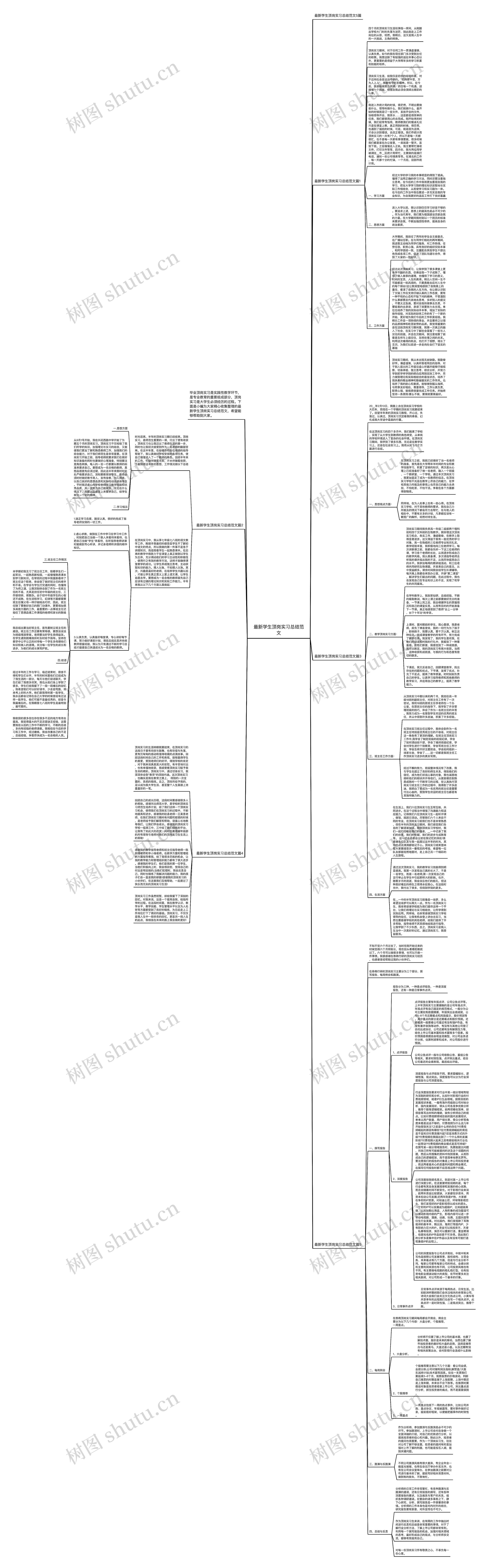 最新学生顶岗实习总结范文思维导图