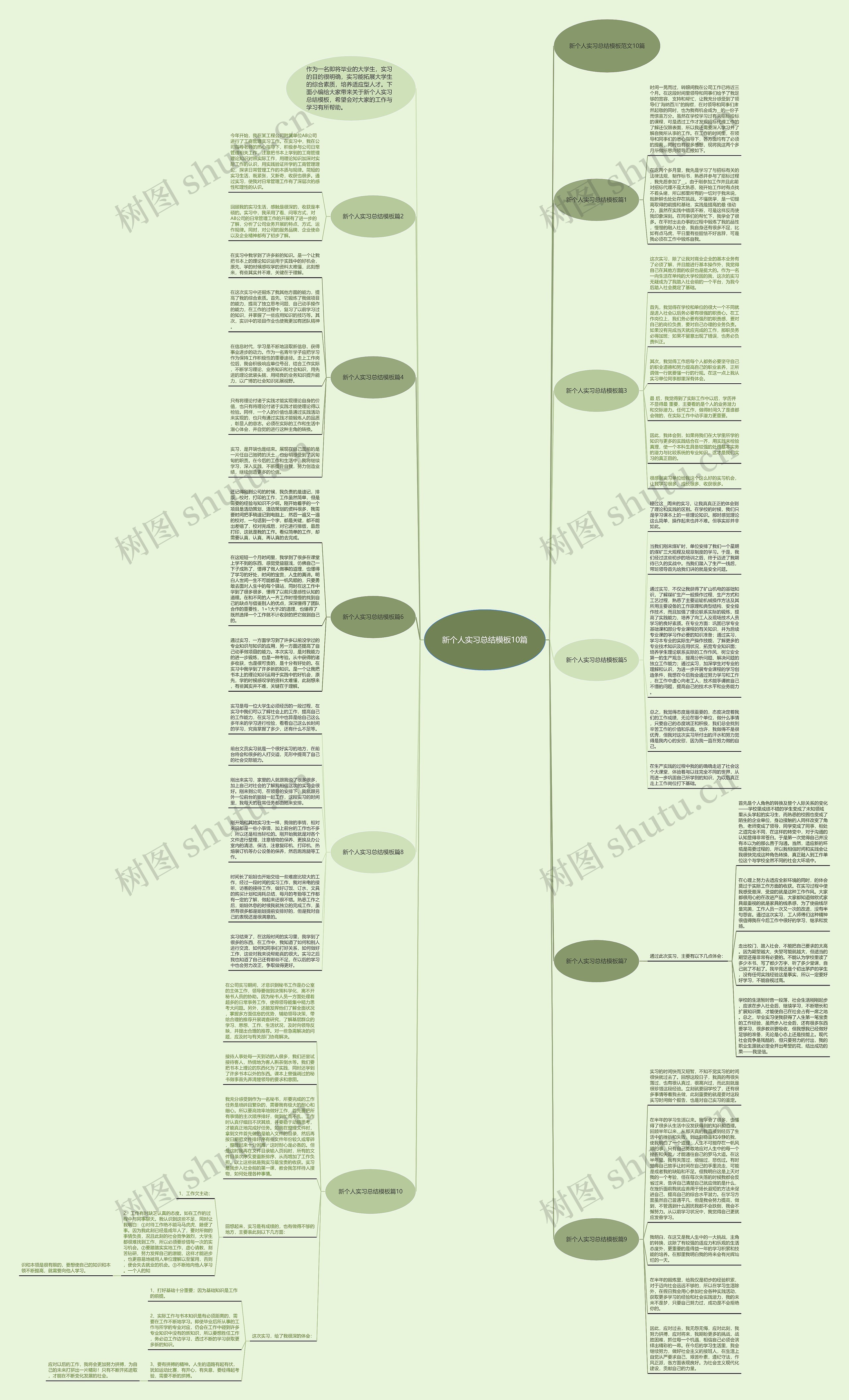 新个人实习总结10篇思维导图