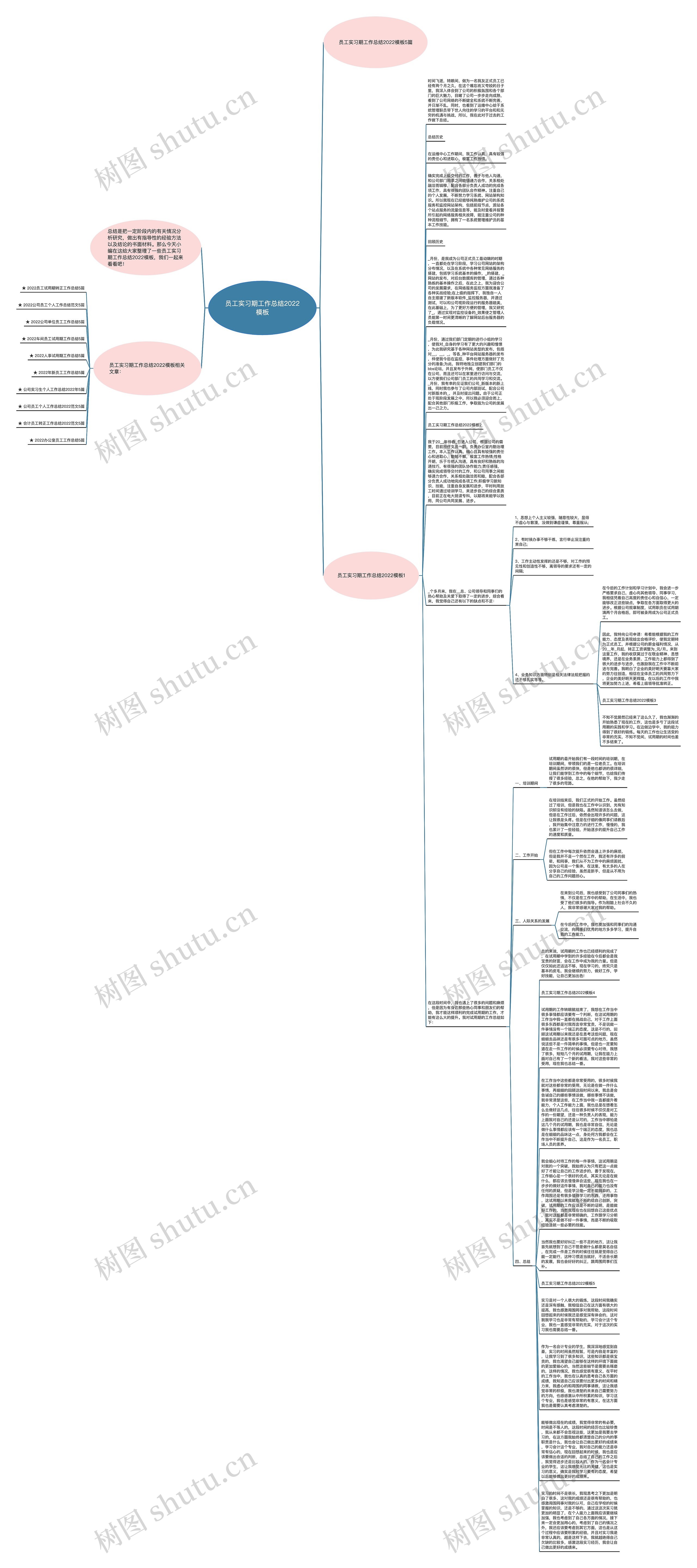 员工实习期工作总结2022思维导图