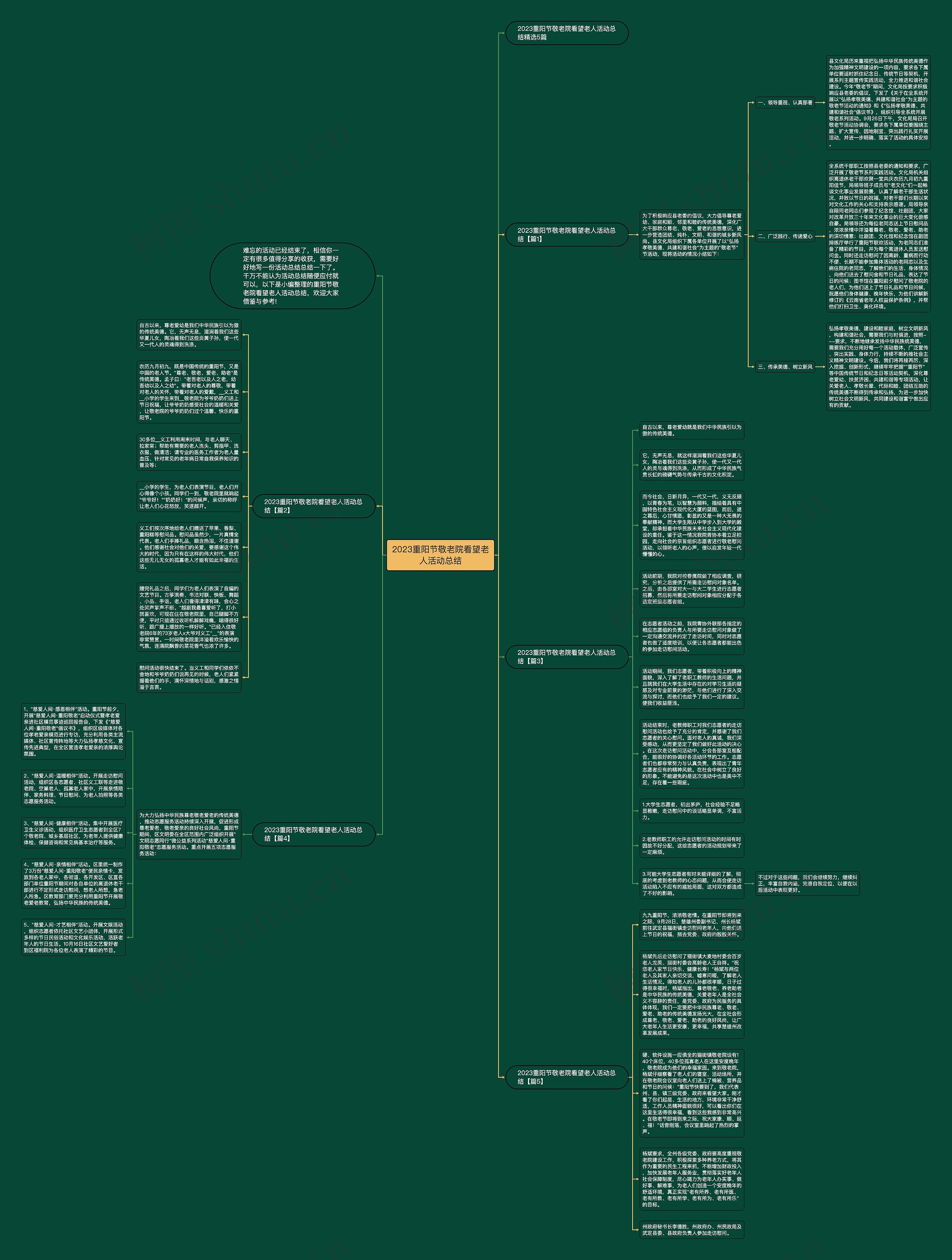 2023重阳节敬老院看望老人活动总结思维导图