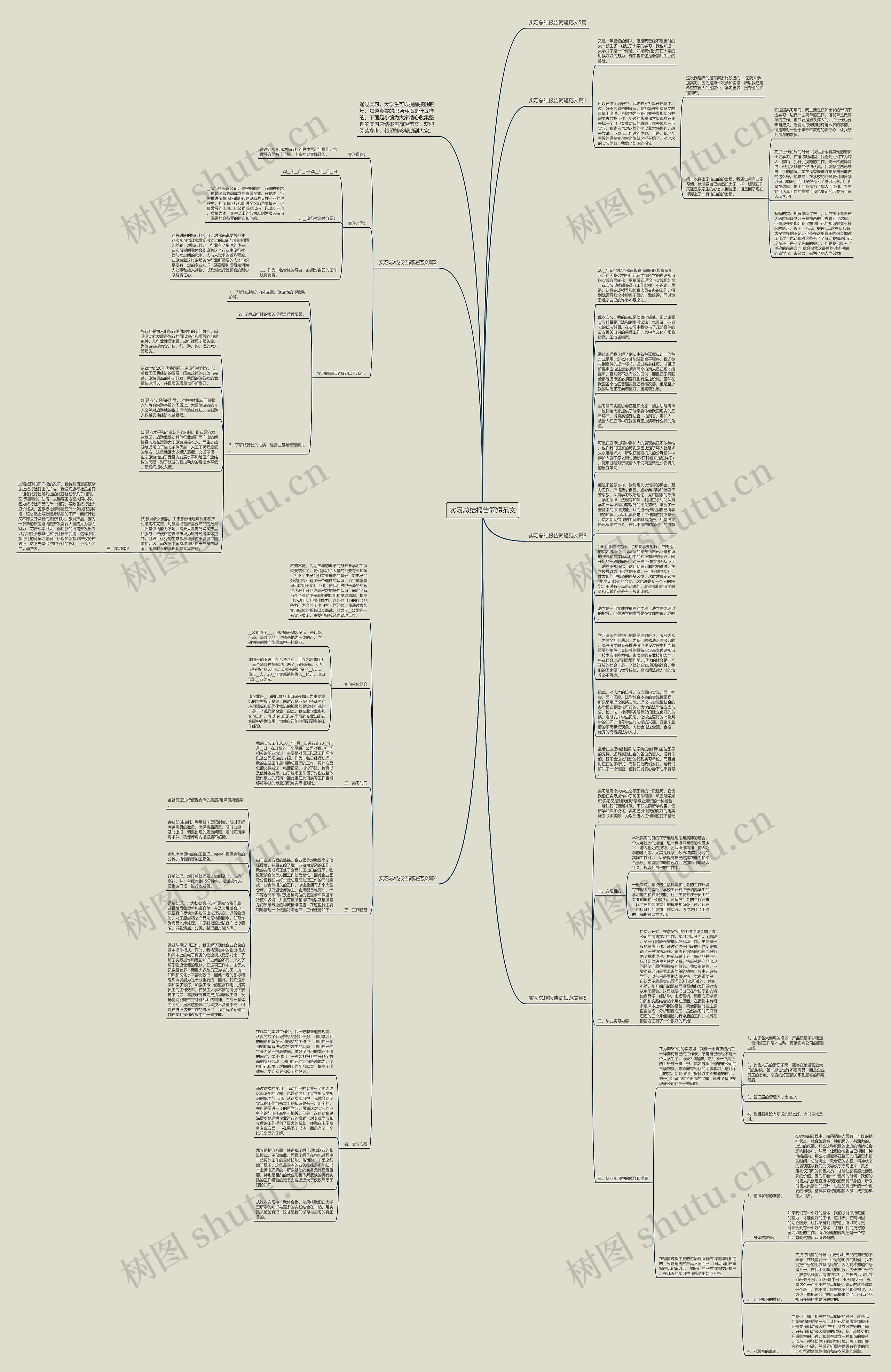 实习总结报告简短范文思维导图