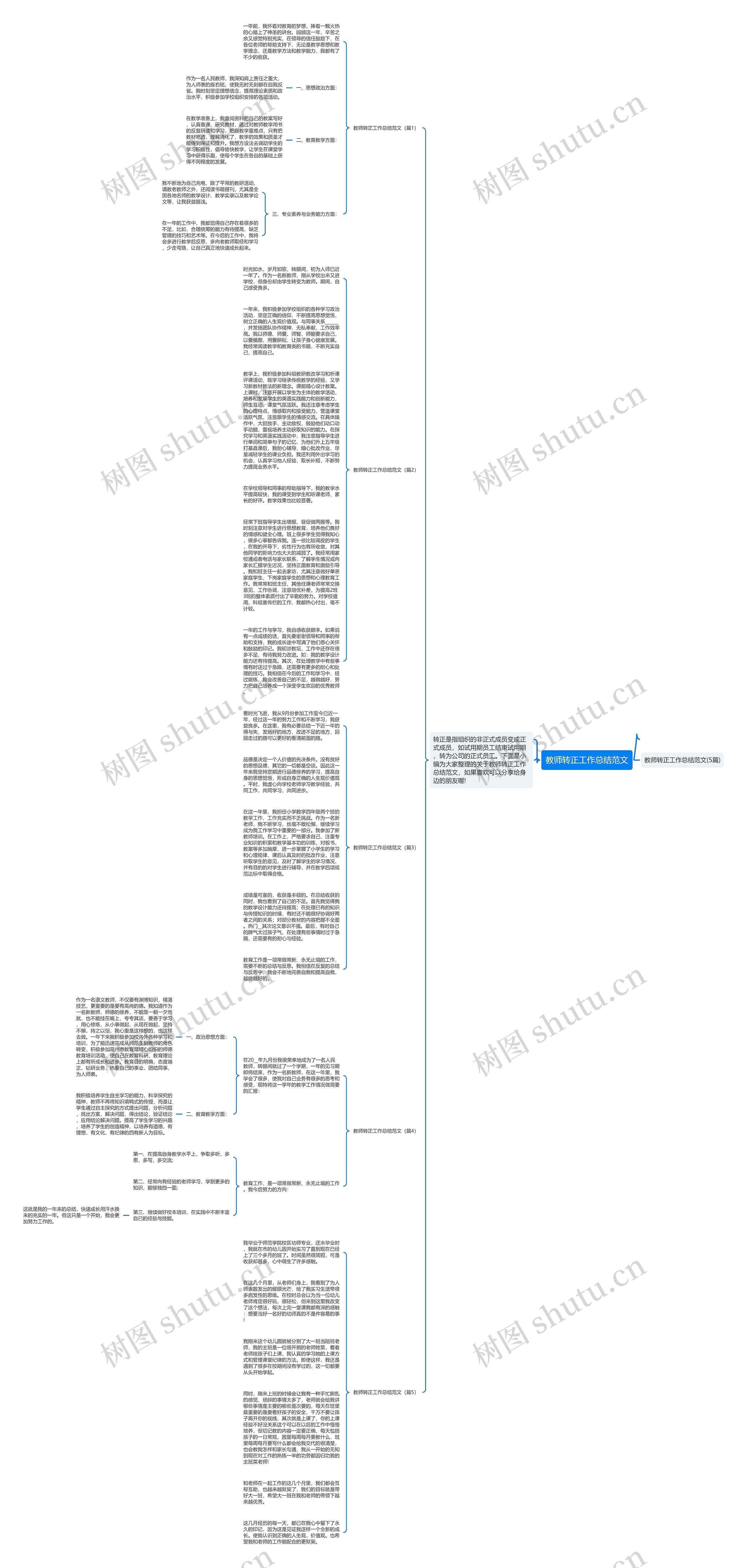 教师转正工作总结范文思维导图