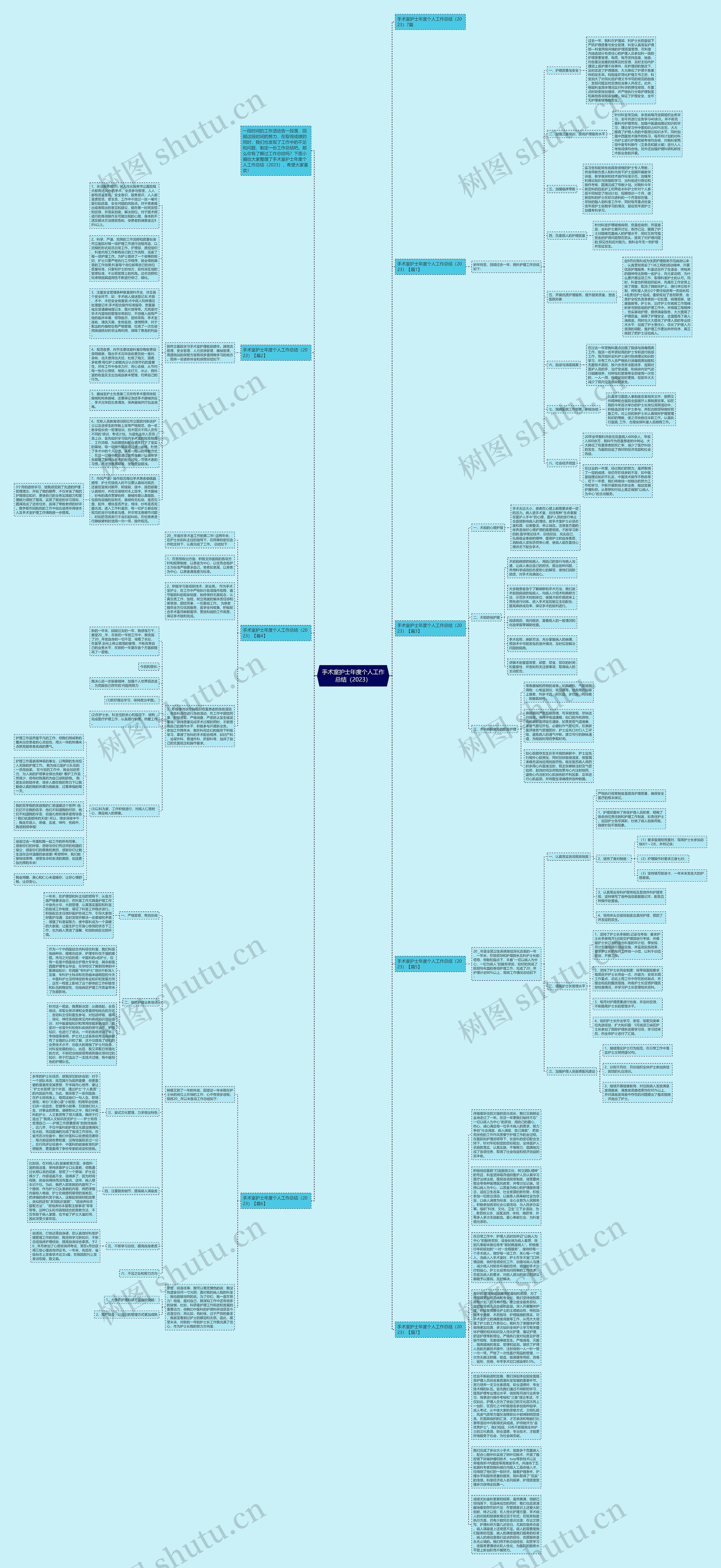 手术室护士年度个人工作总结（2023）思维导图