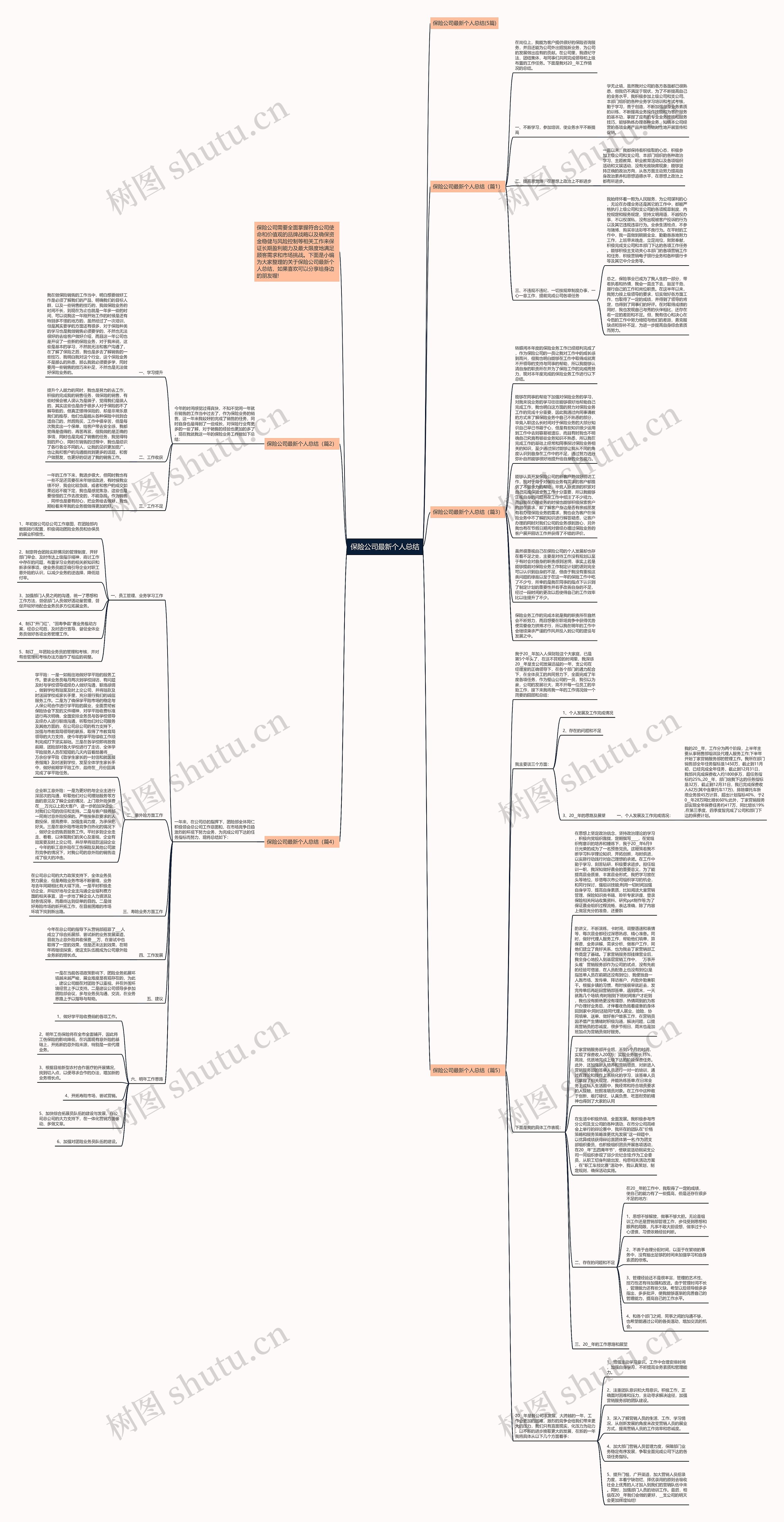 保险公司最新个人总结思维导图