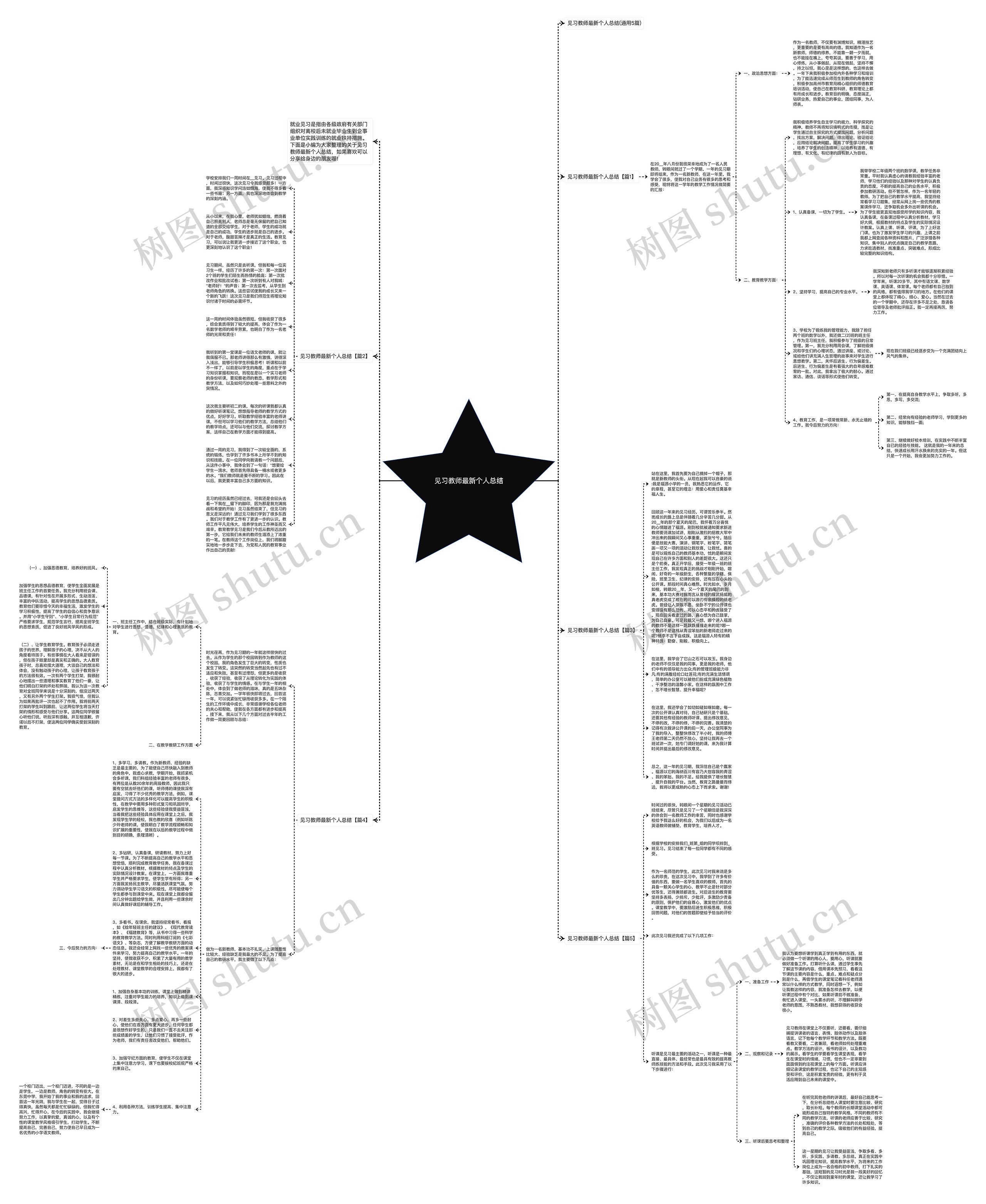 见习教师最新个人总结思维导图