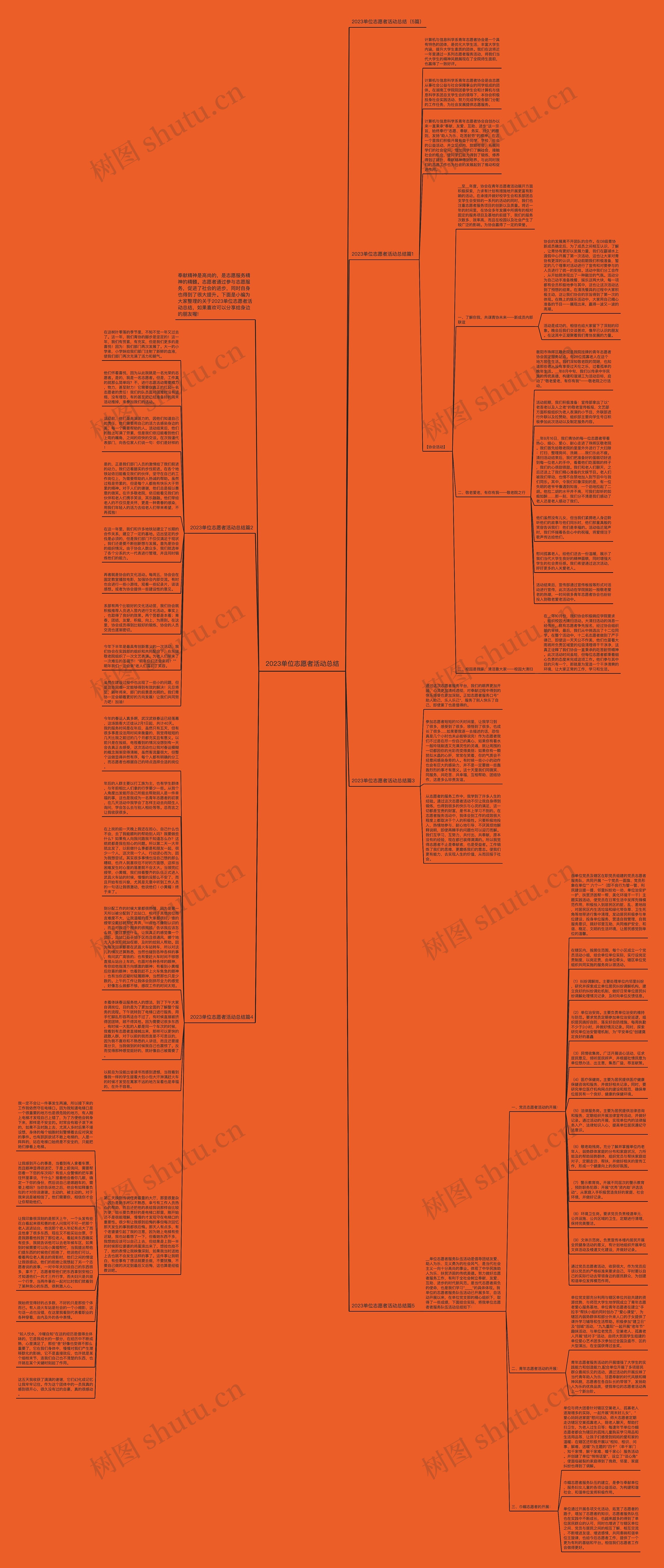 2023单位志愿者活动总结思维导图