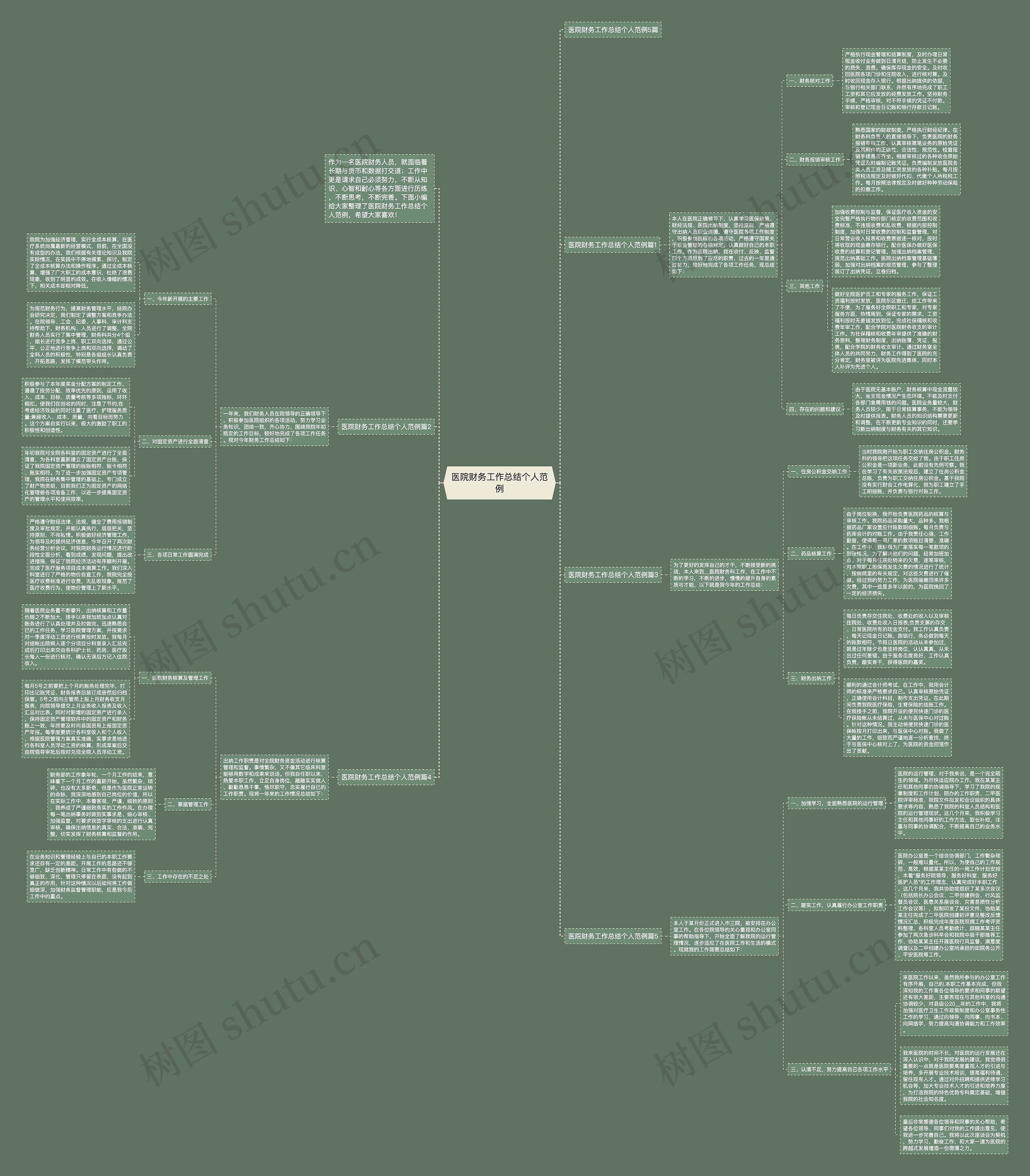 医院财务工作总结个人范例