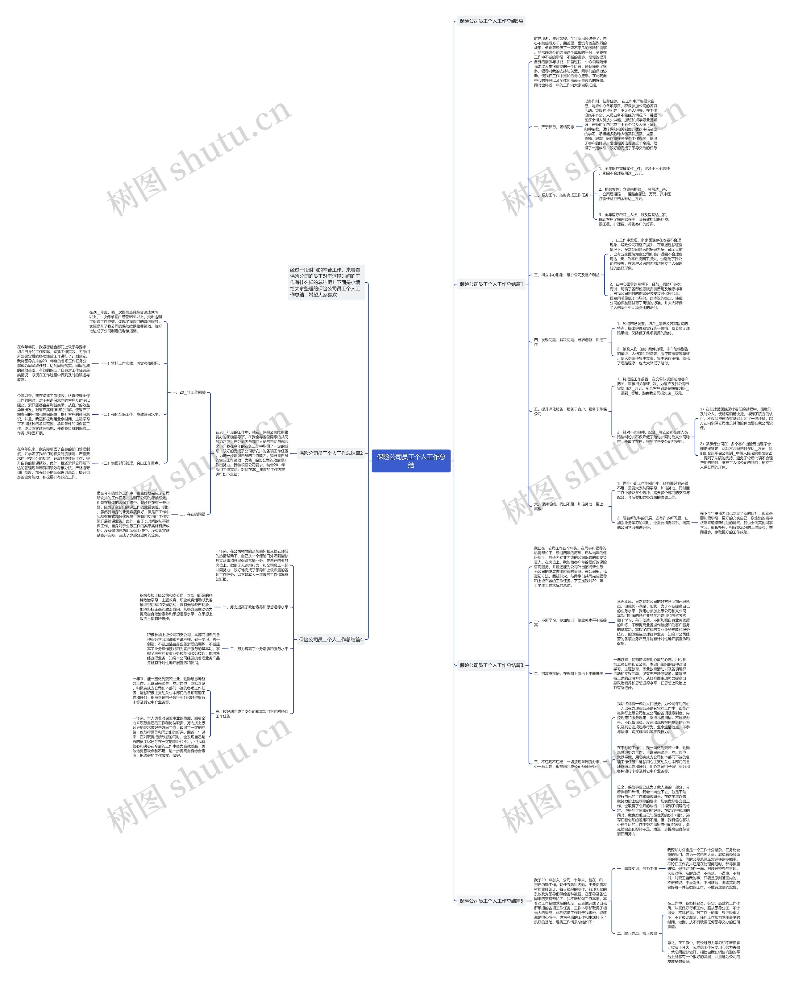 保险公司员工个人工作总结思维导图