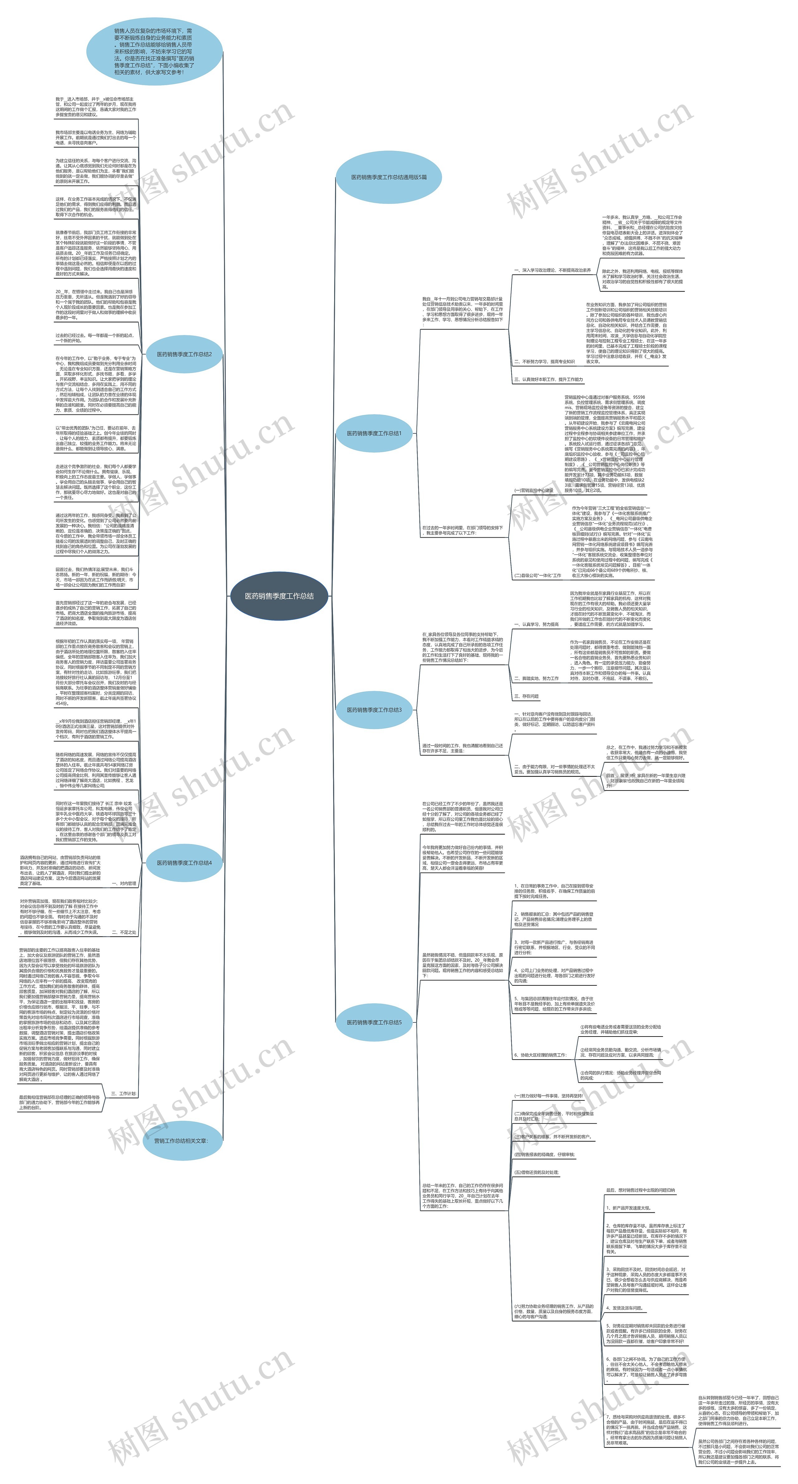 医药销售季度工作总结思维导图