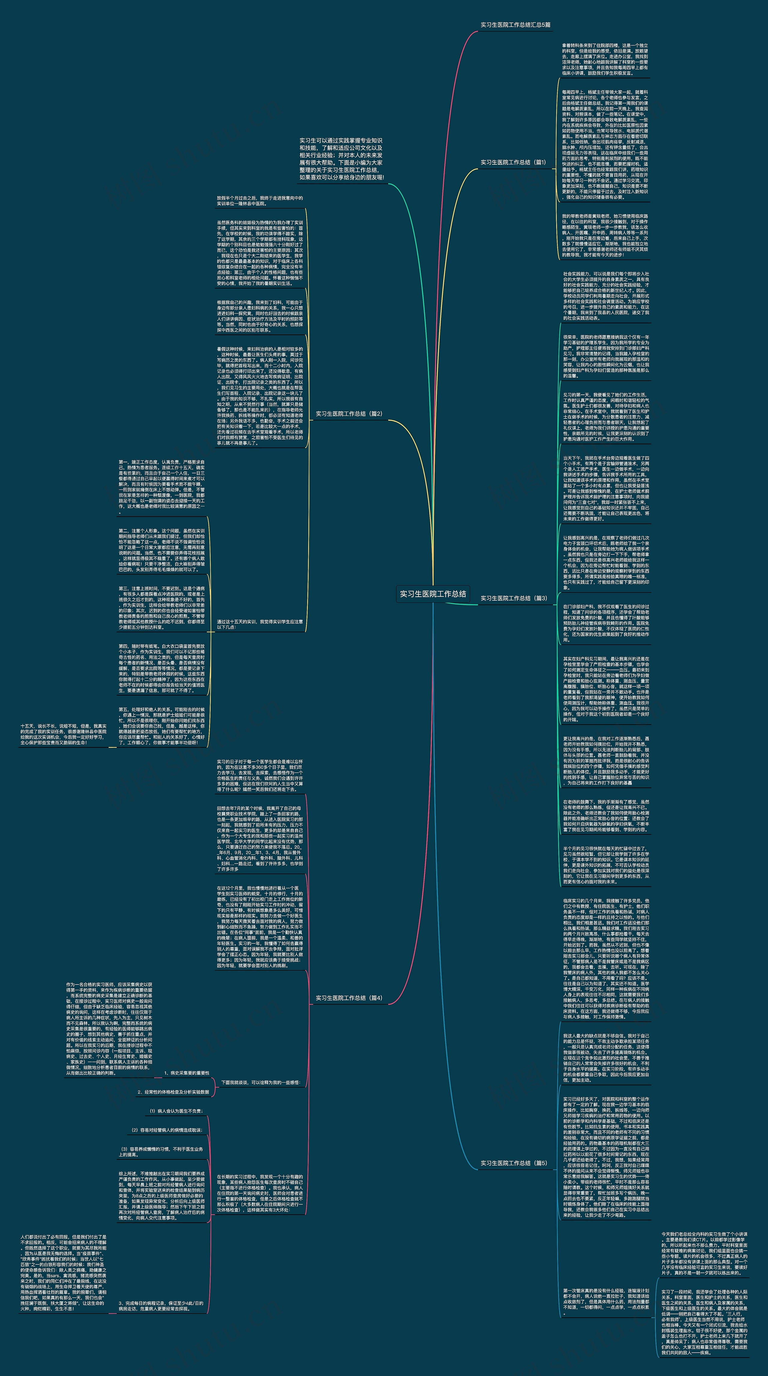 实习生医院工作总结思维导图