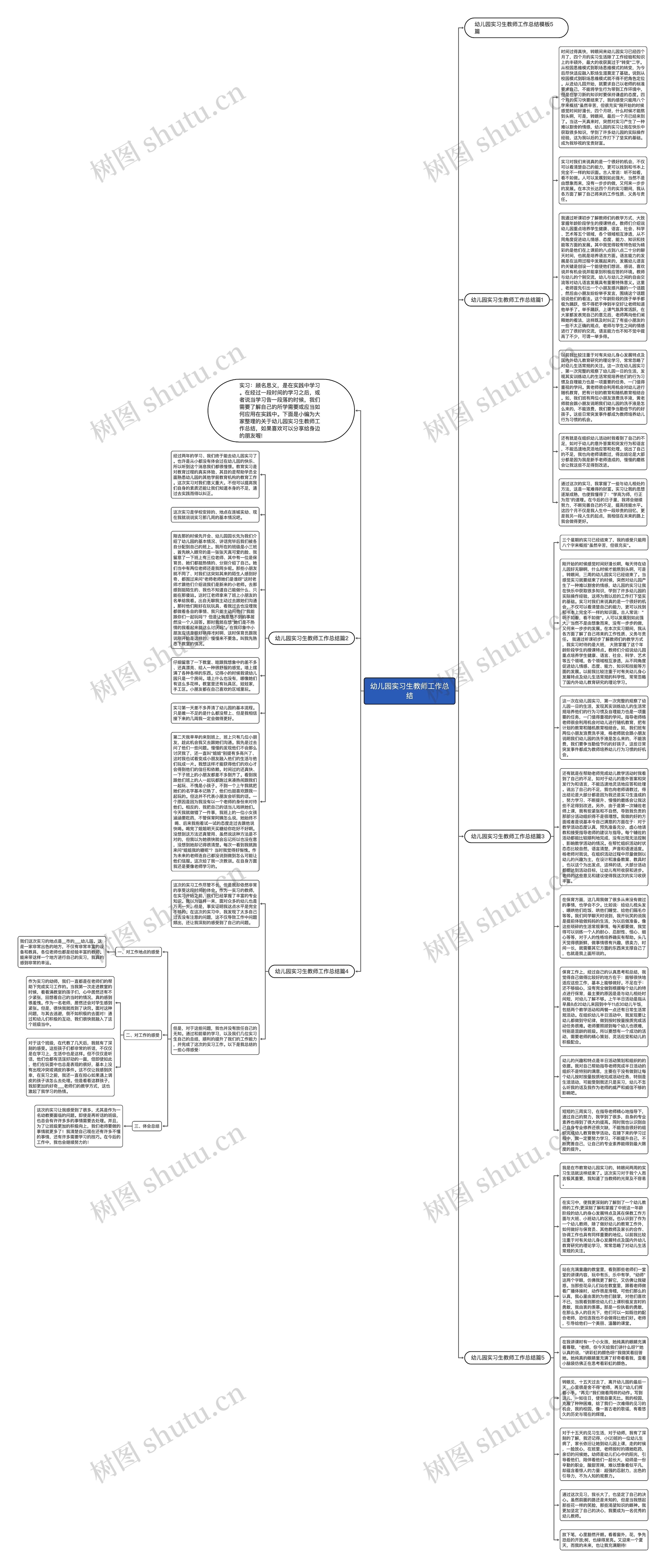 幼儿园实习生教师工作总结思维导图