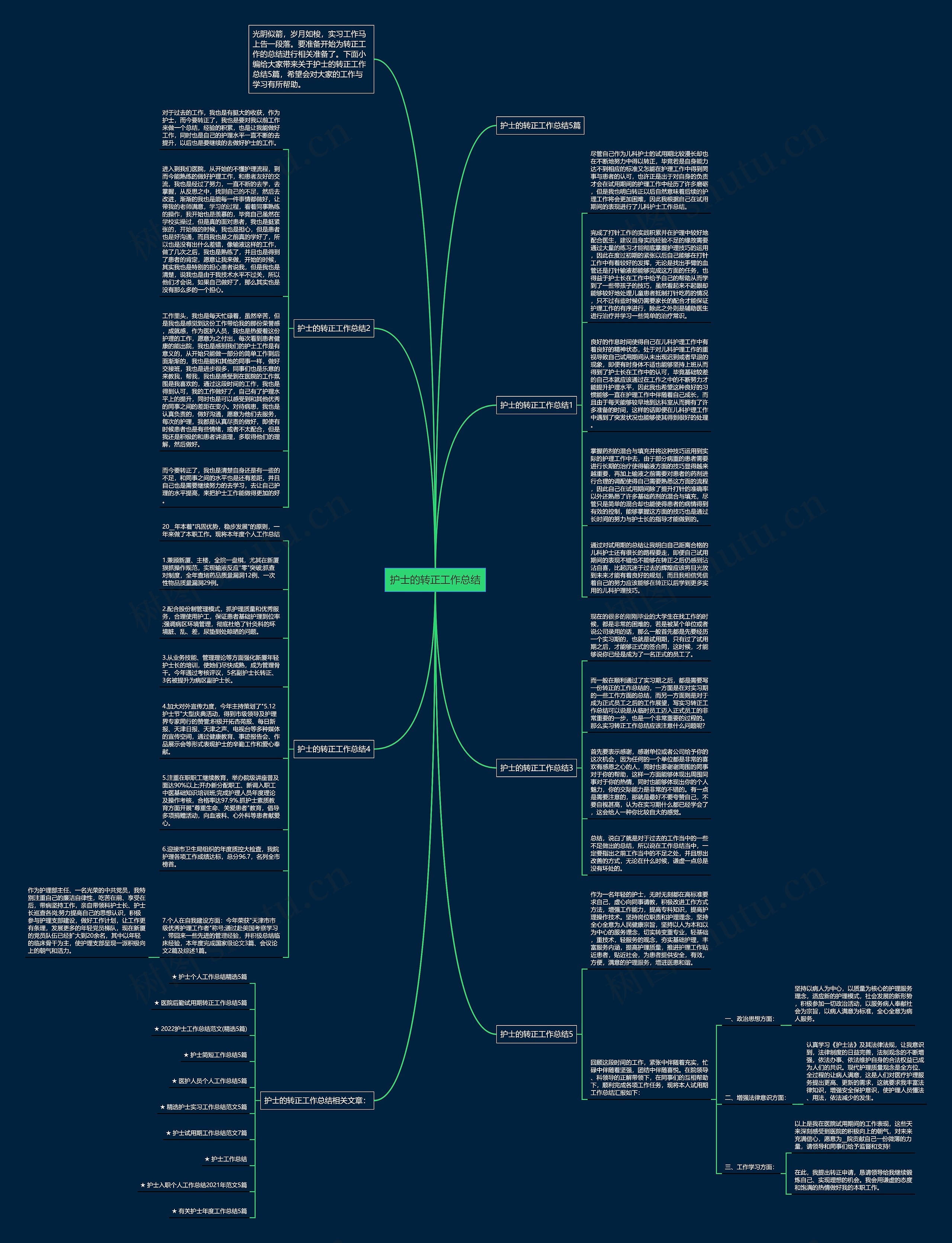 护士的转正工作总结思维导图