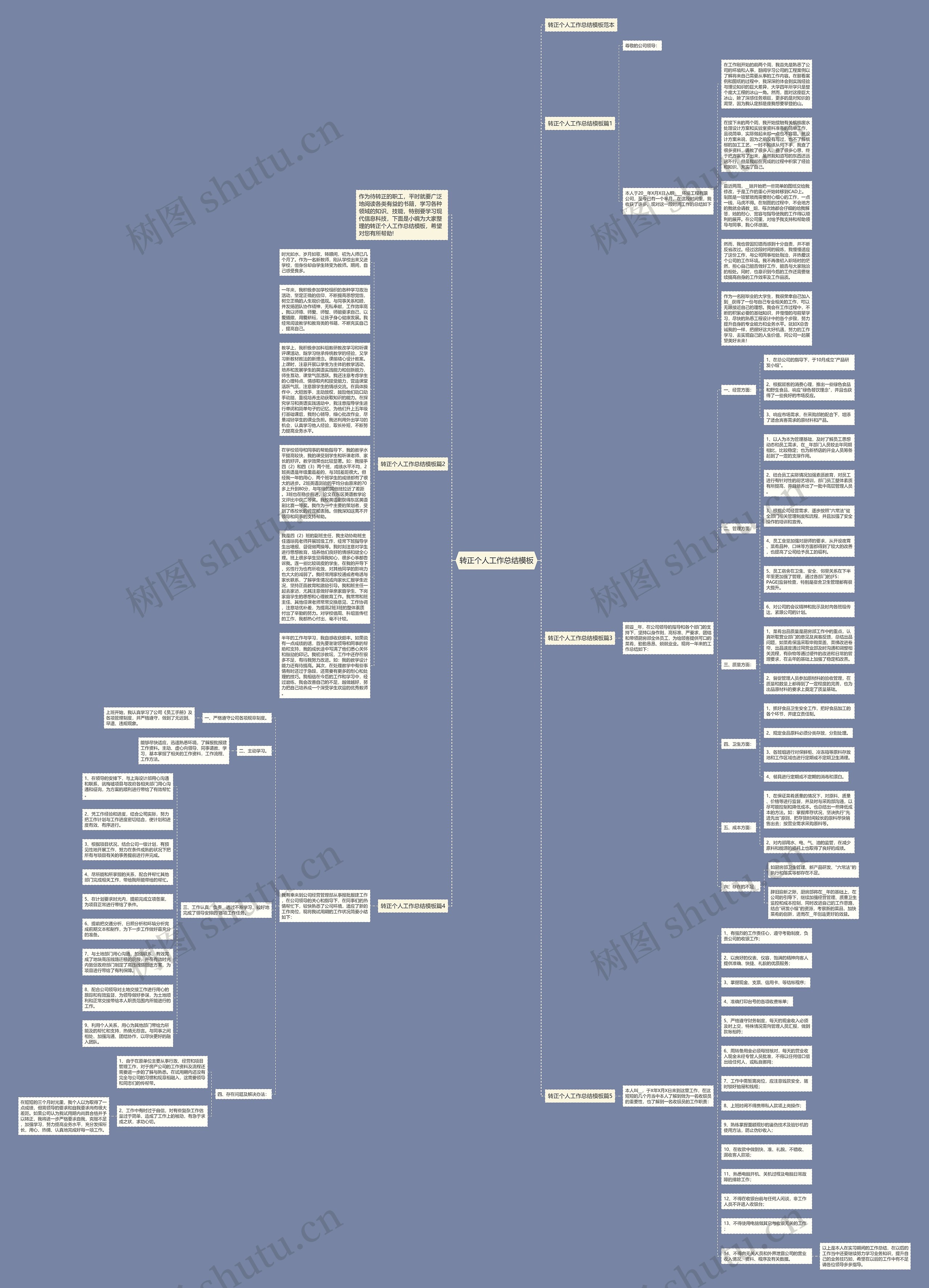转正个人工作总结思维导图