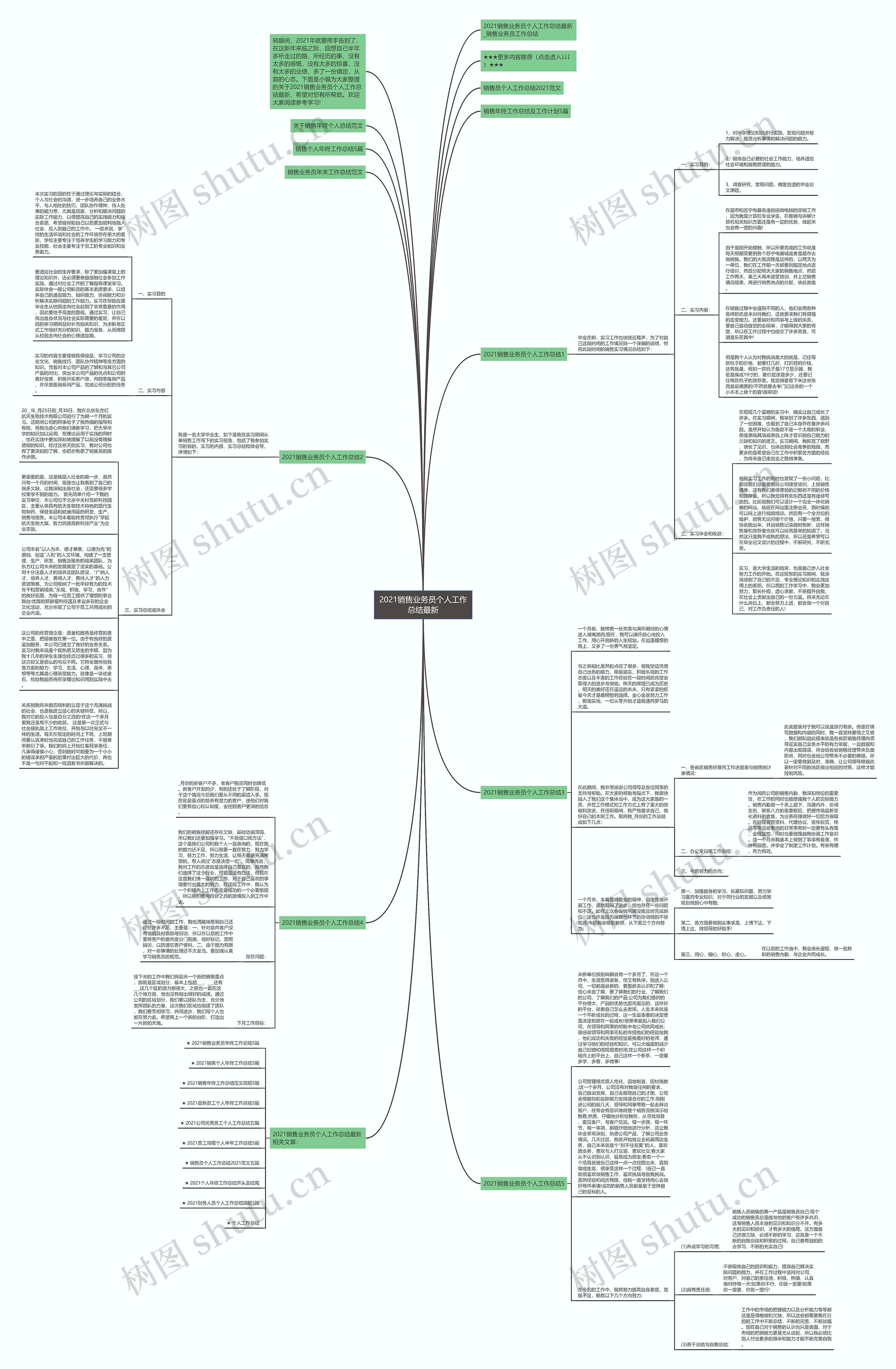 2021销售业务员个人工作总结最新思维导图