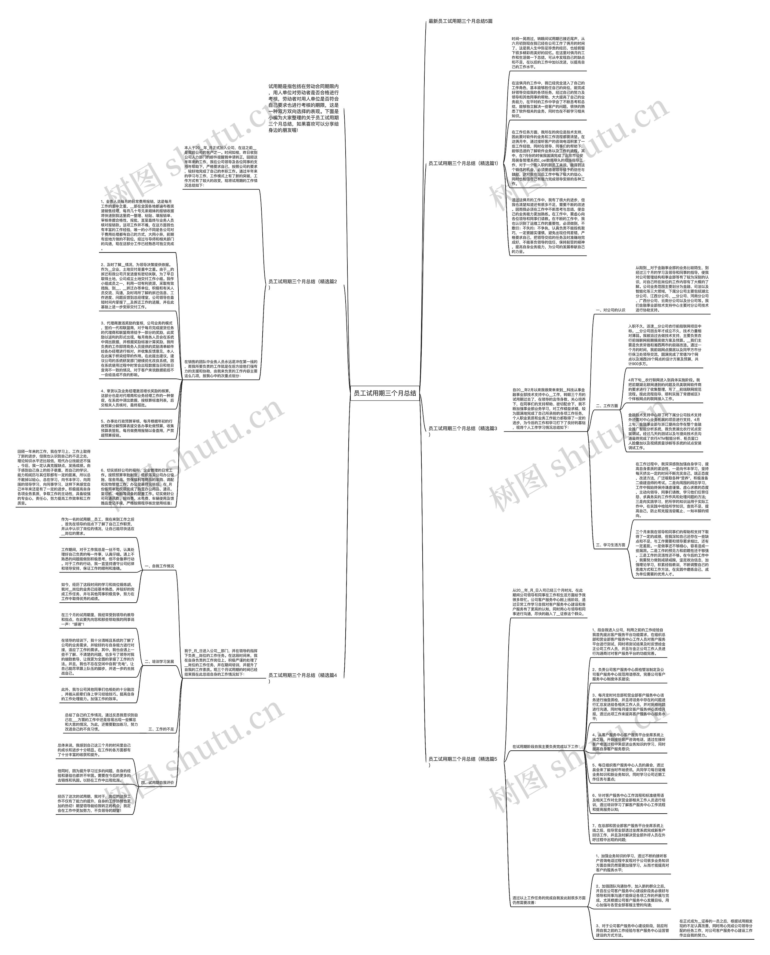 员工试用期三个月总结思维导图
