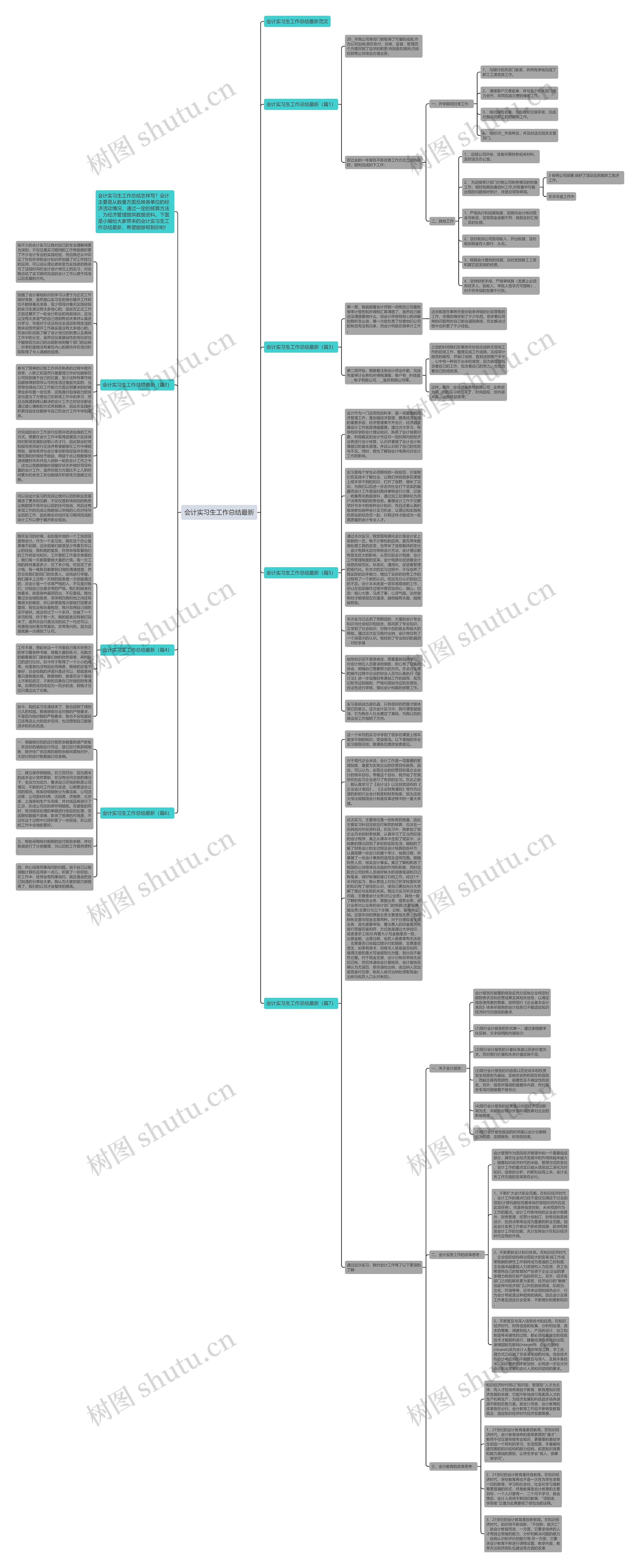会计实习生工作总结最新思维导图