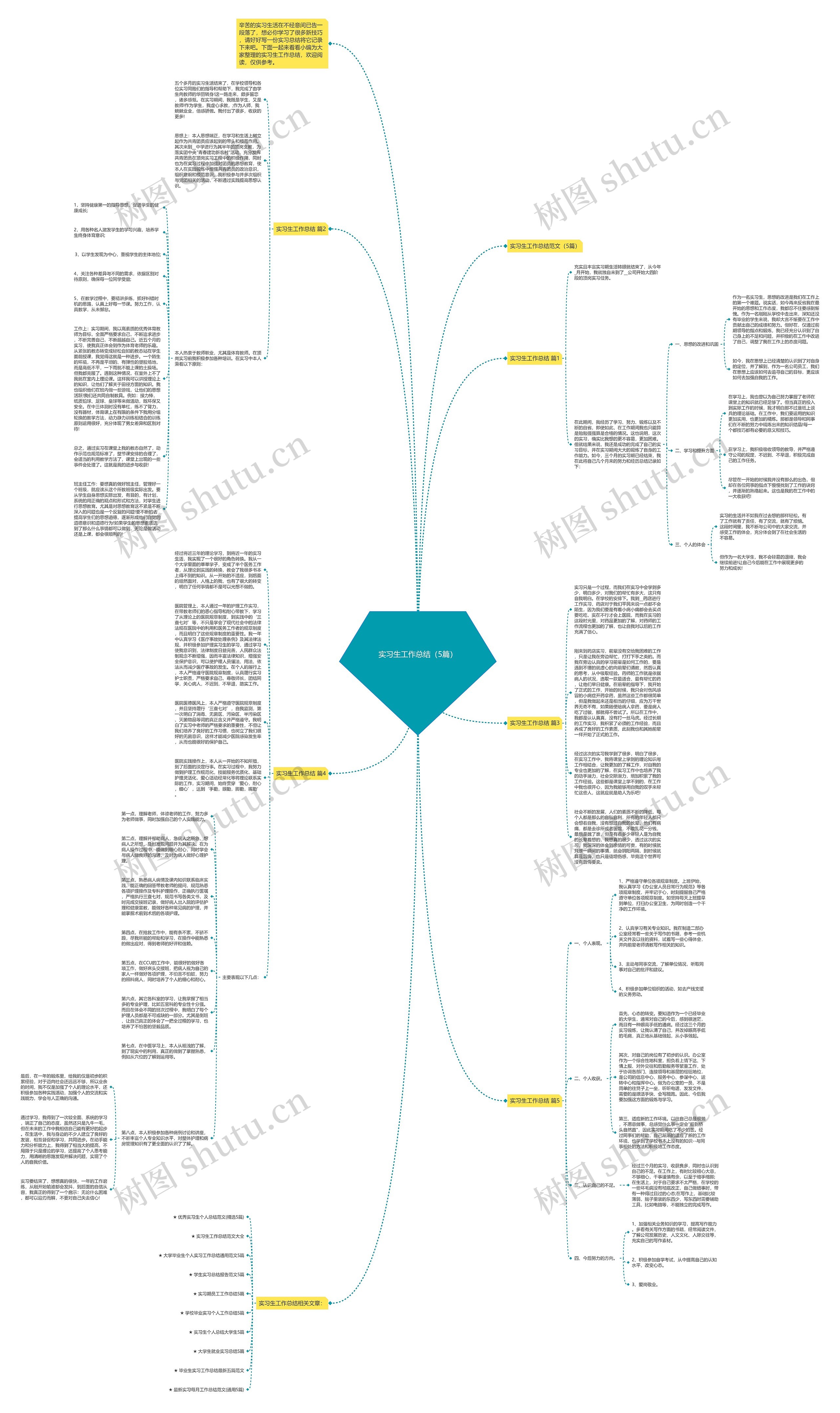 实习生工作总结（5篇）思维导图