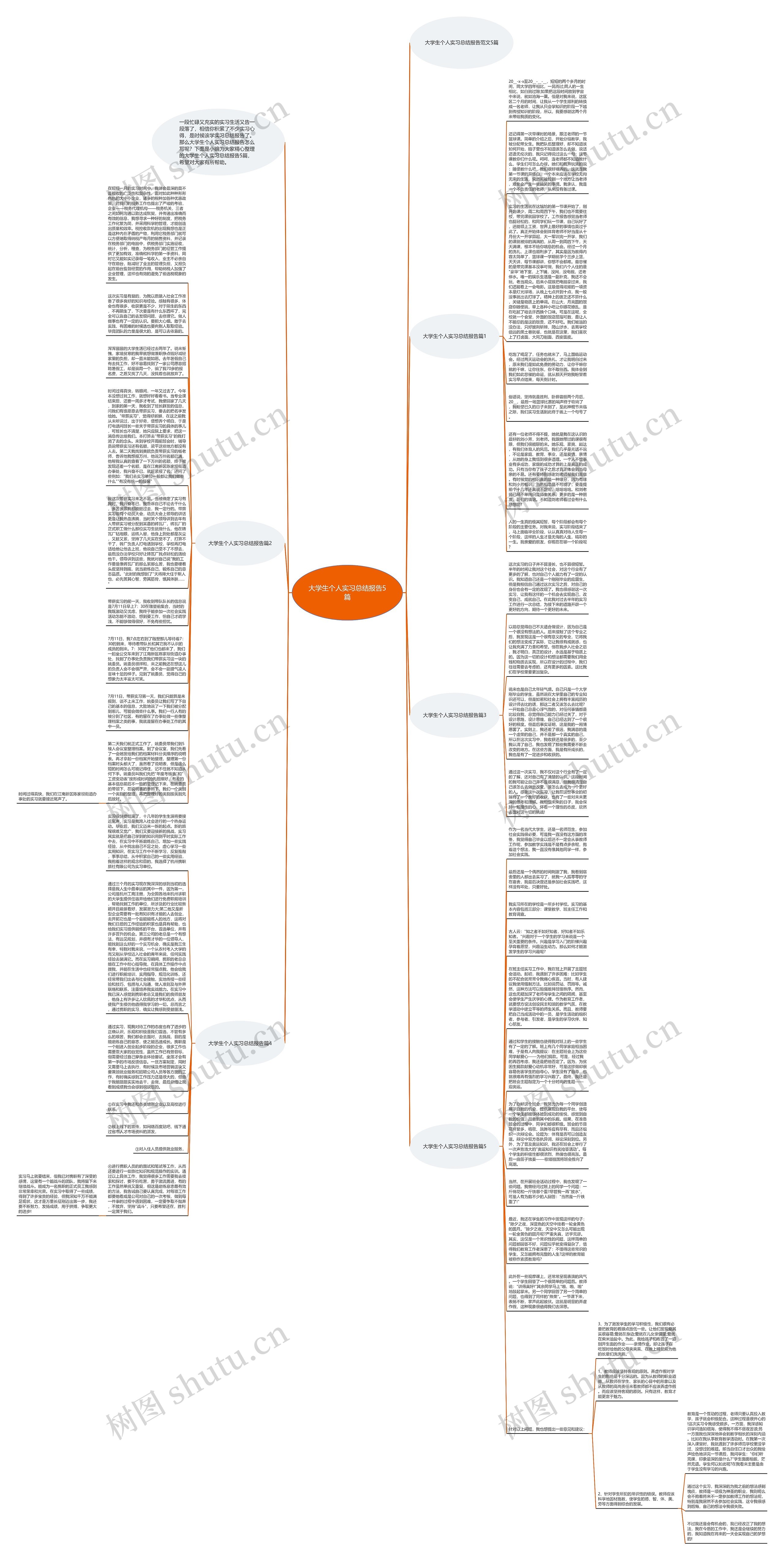 大学生个人实习总结报告5篇思维导图