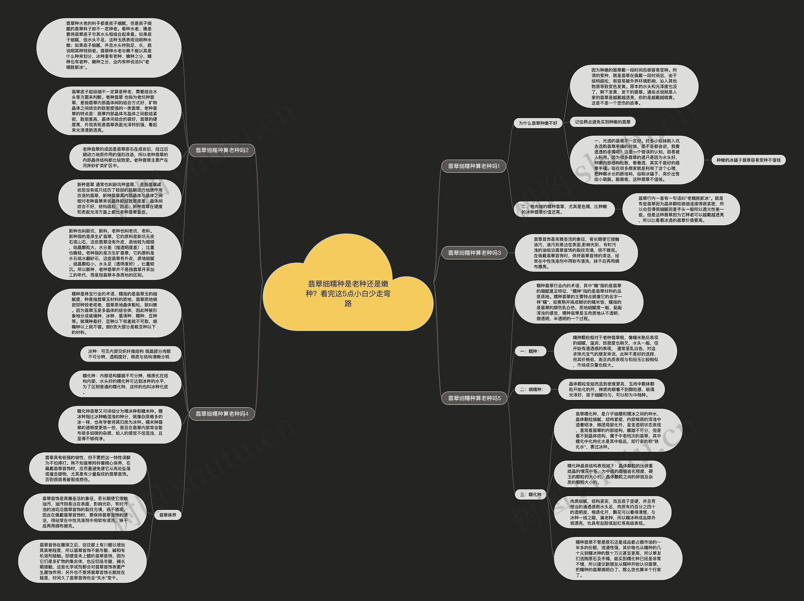 翡翠细糯种是老种还是嫩种？看完这5点小白少走弯路思维导图