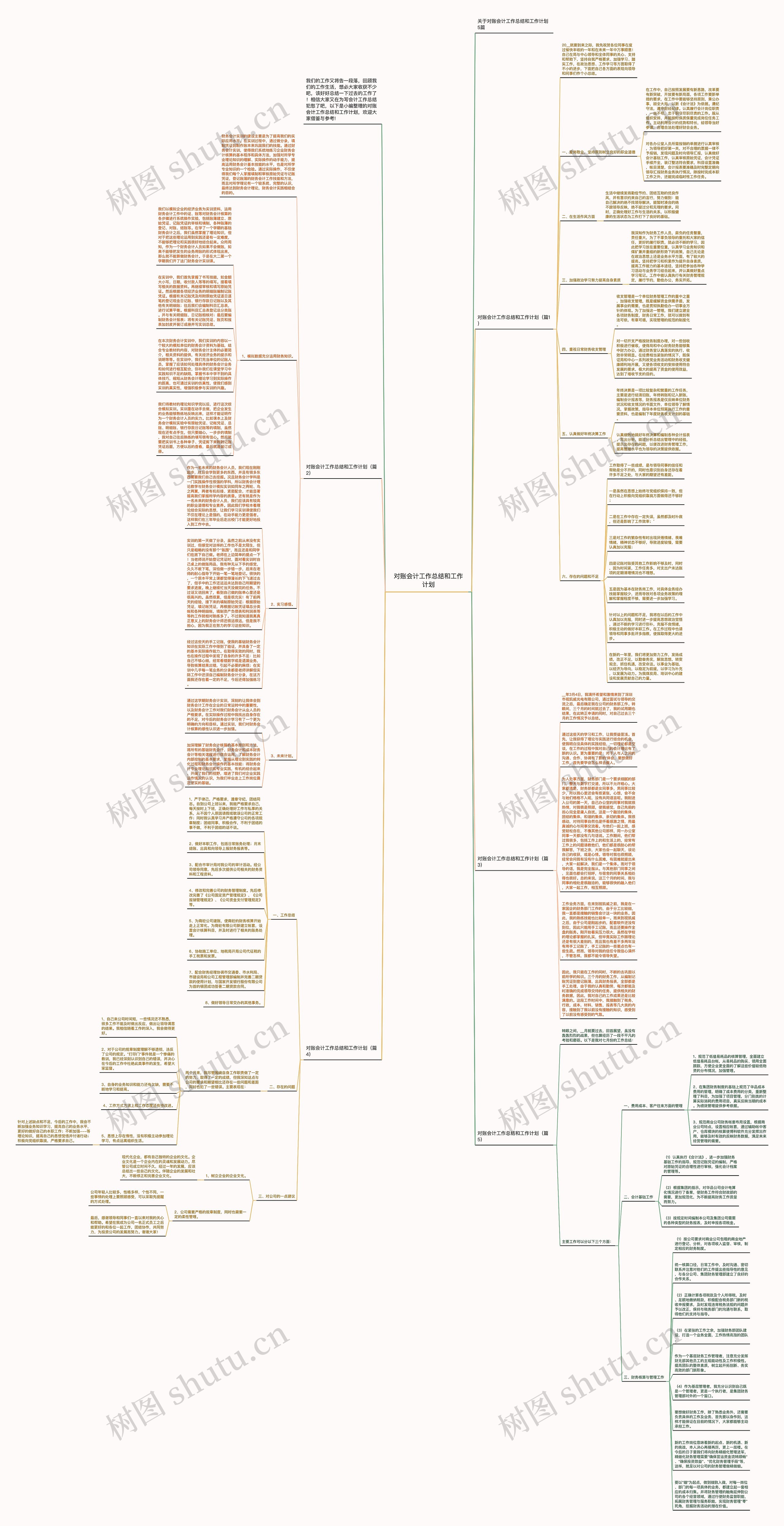 对账会计工作总结和工作计划思维导图