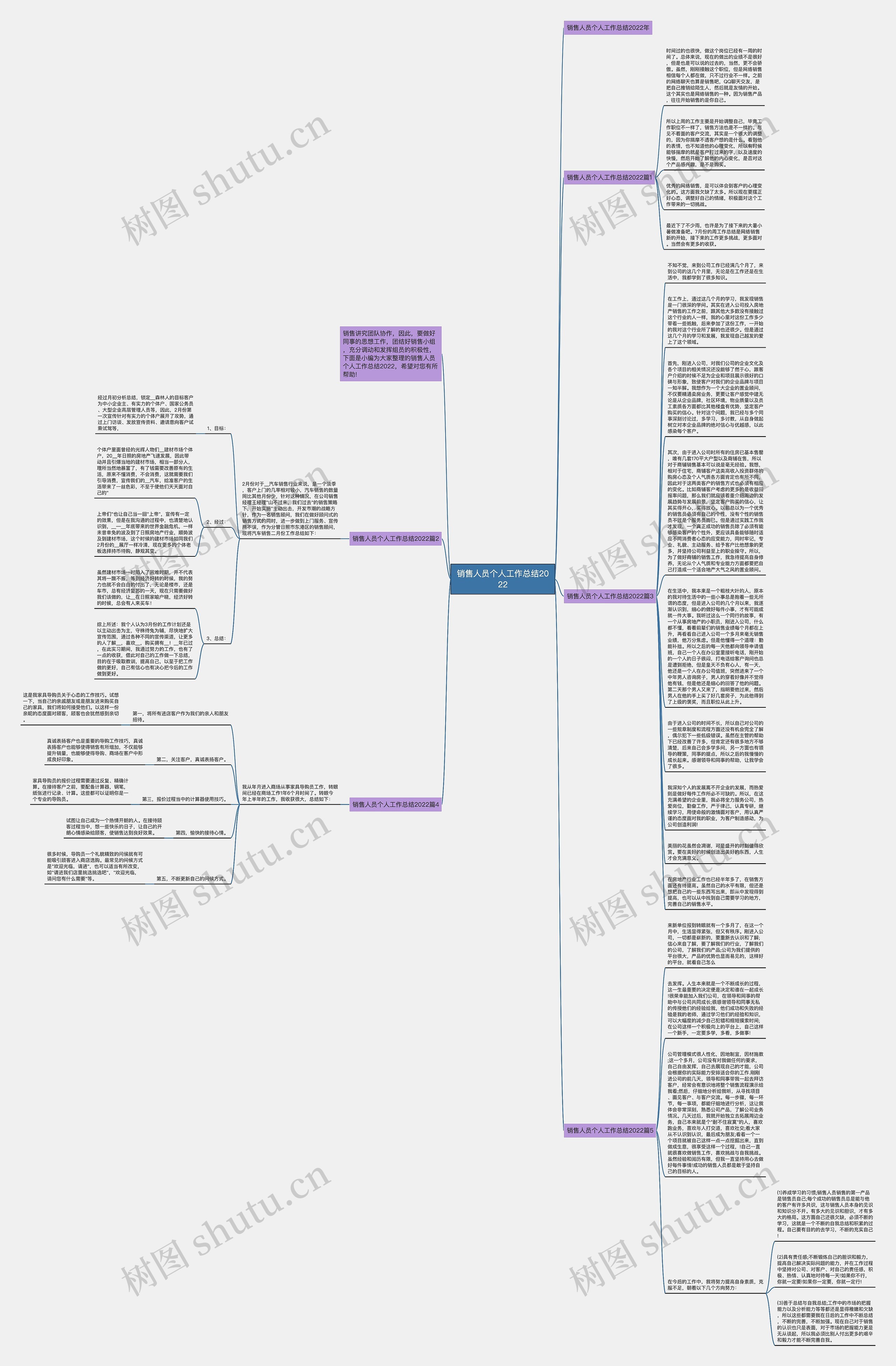 销售人员个人工作总结2022思维导图