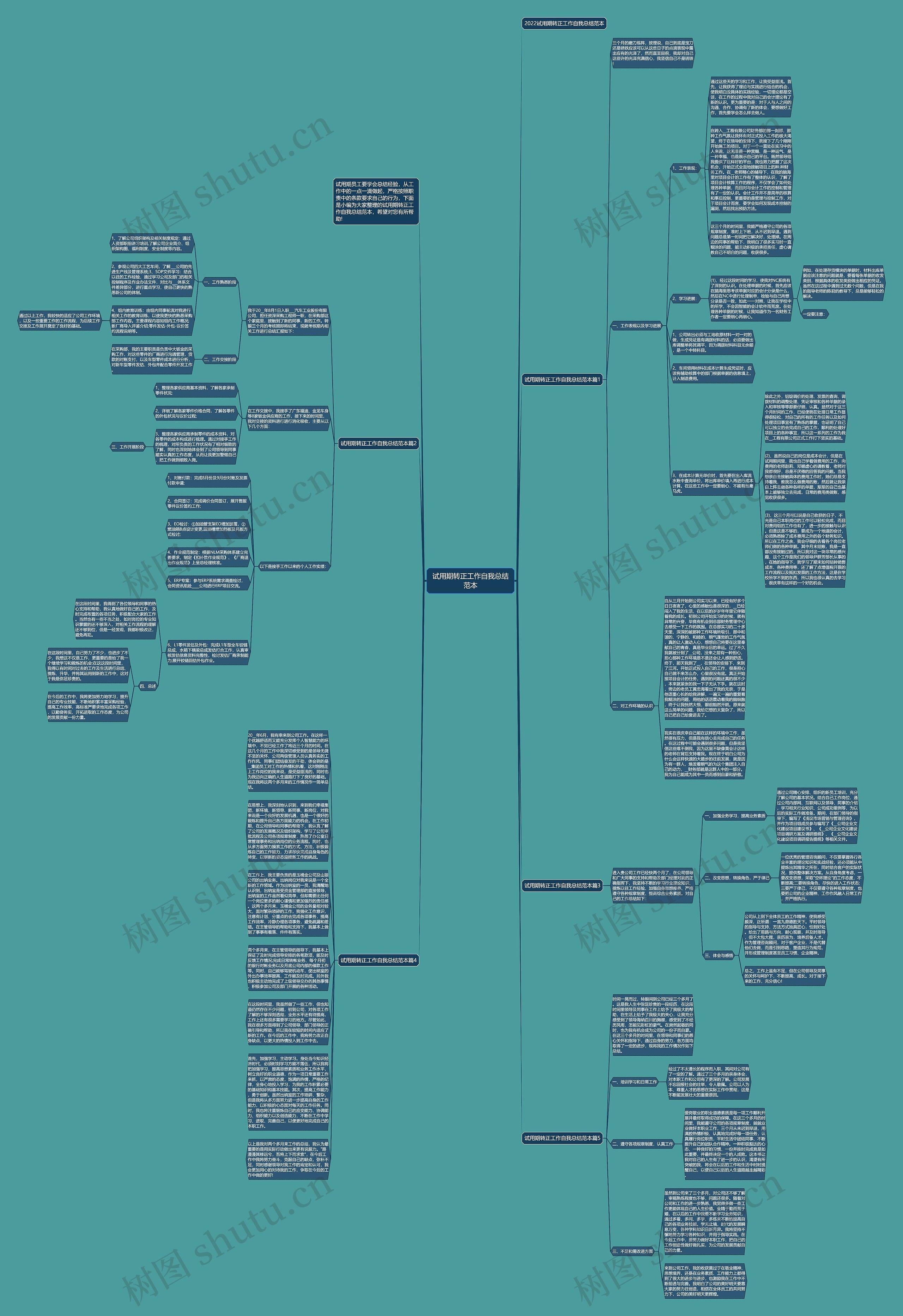 试用期转正工作自我总结范本思维导图