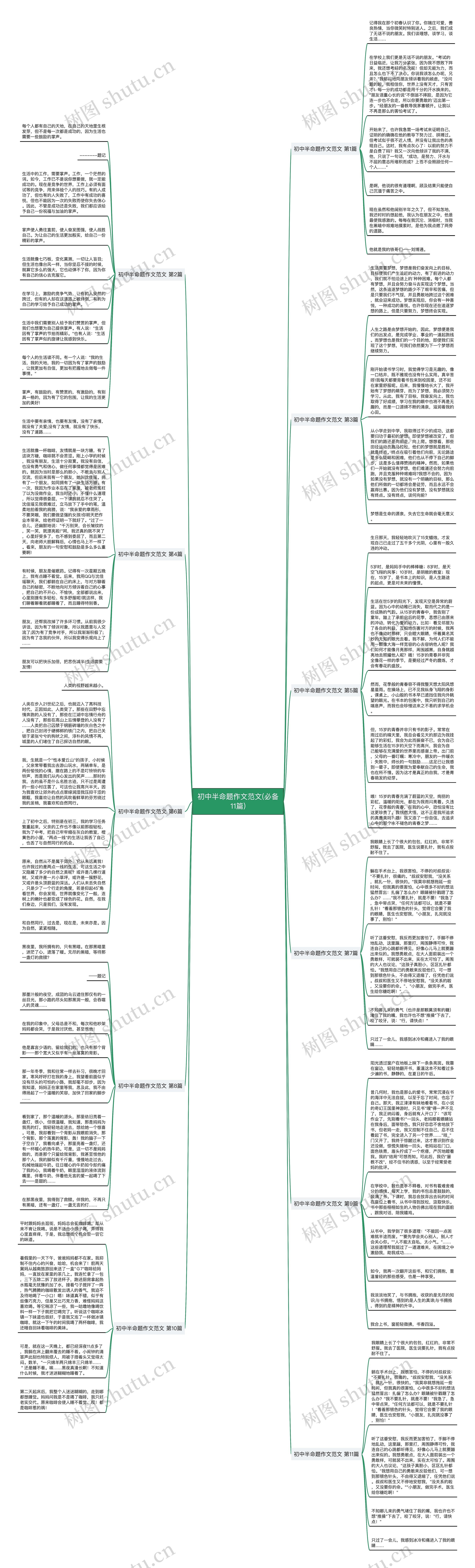 初中半命题作文范文(必备11篇)思维导图