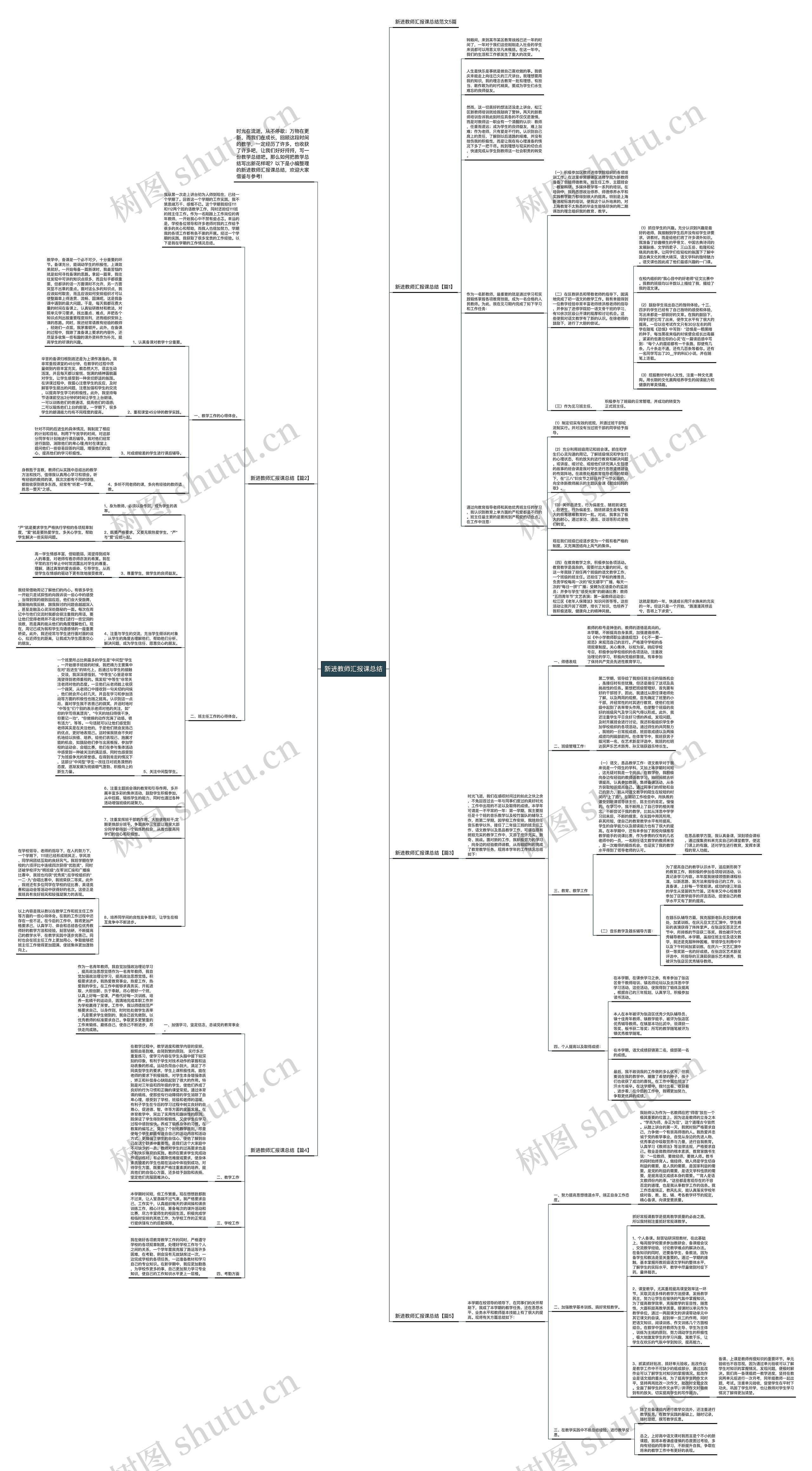 新进教师汇报课总结