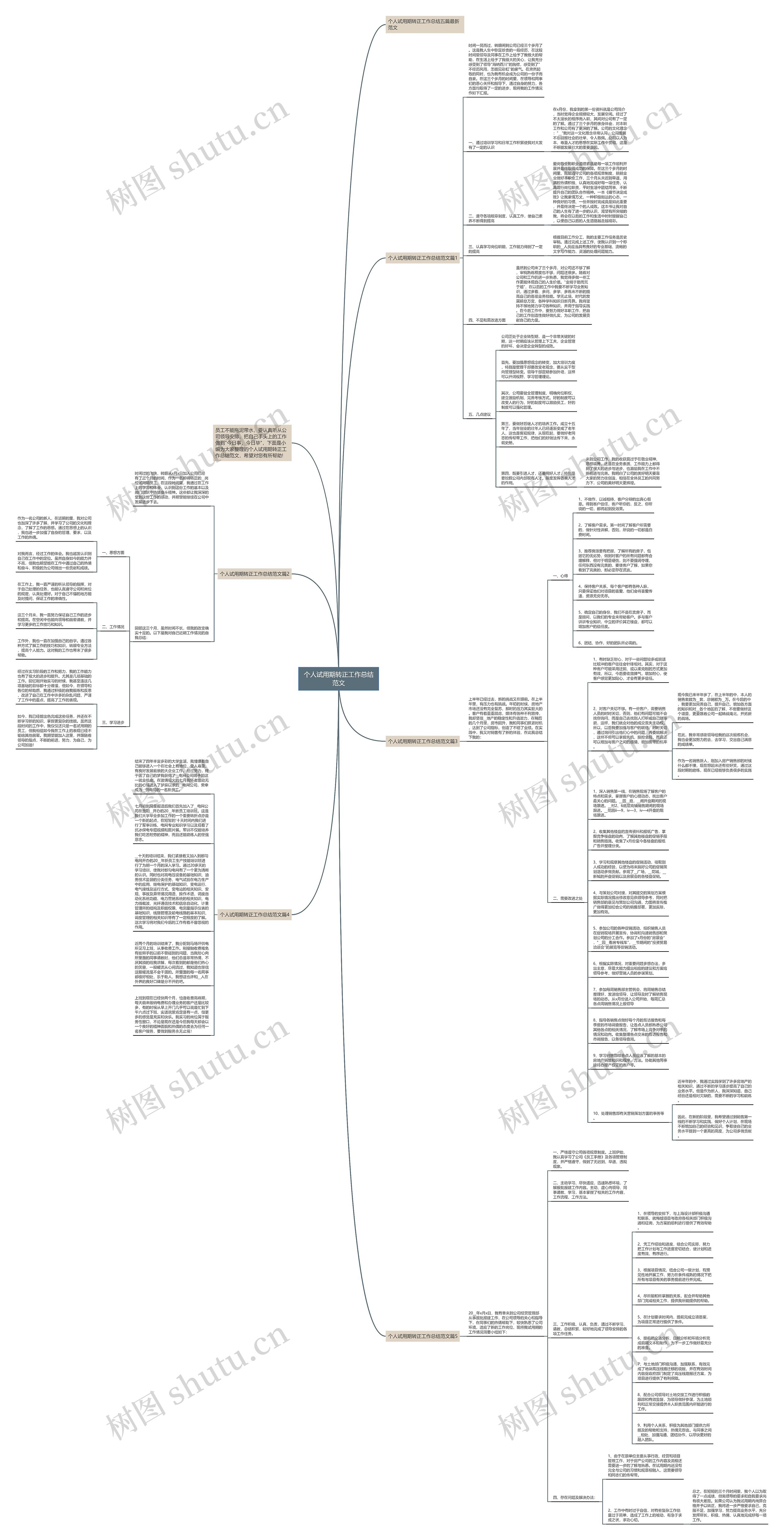 个人试用期转正工作总结范文思维导图