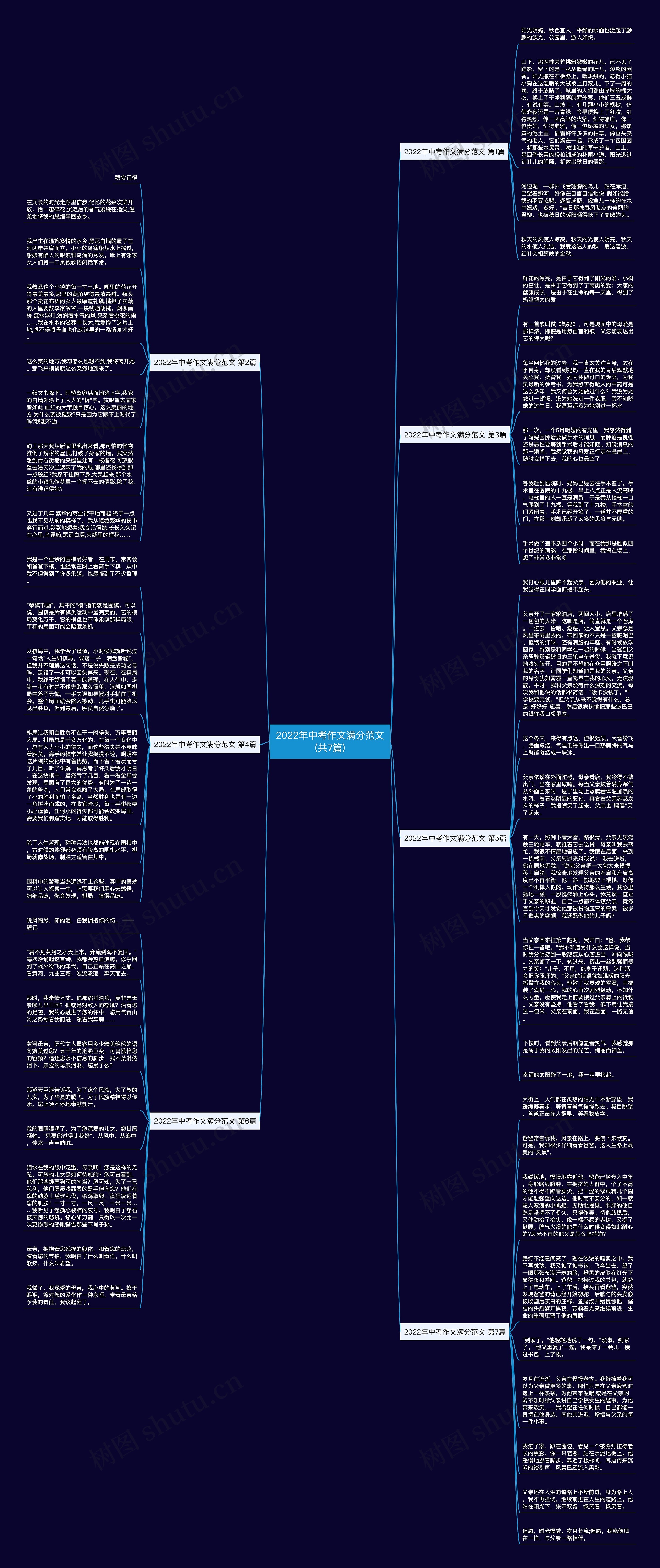 2022年中考作文满分范文(共7篇)思维导图