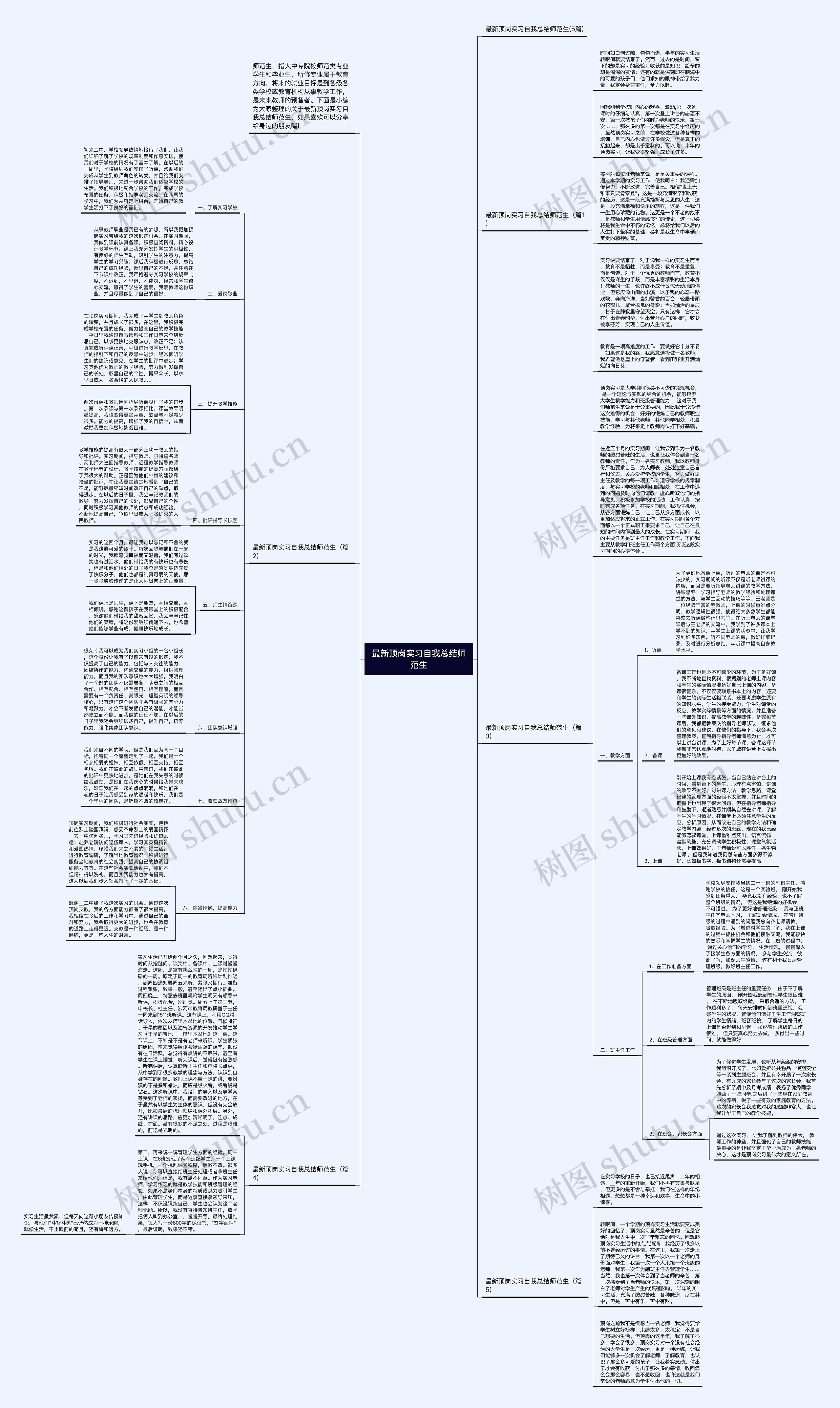 最新顶岗实习自我总结师范生思维导图