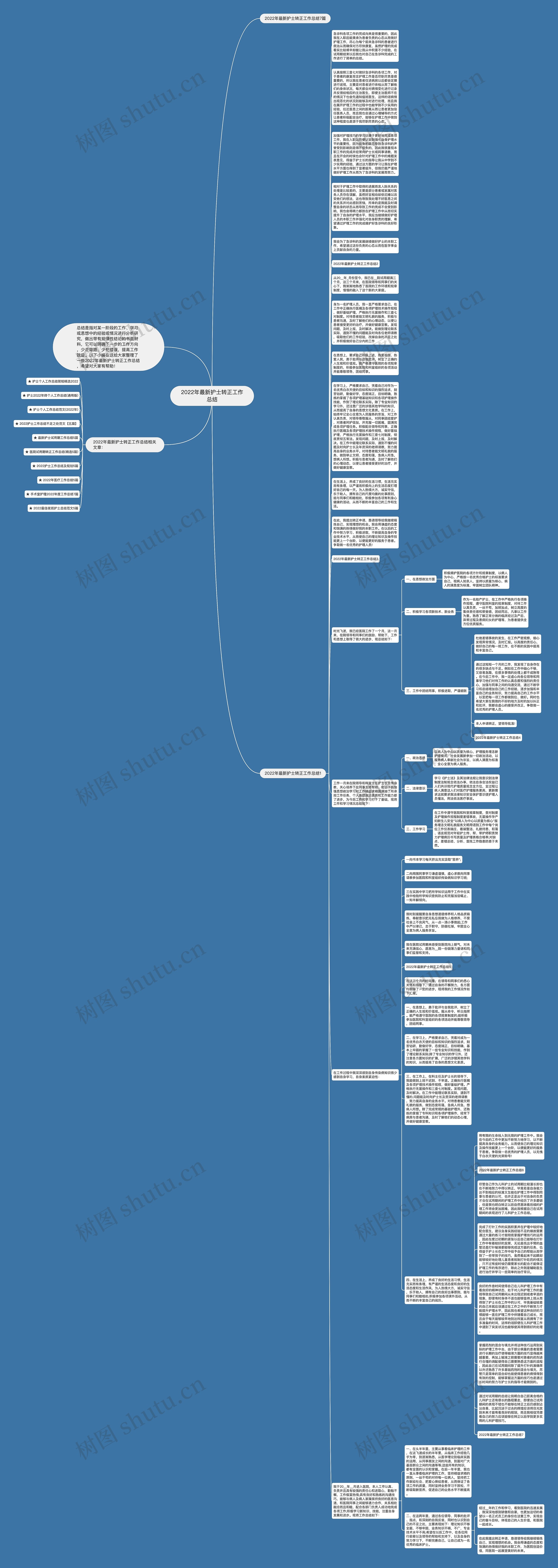 2022年最新护士转正工作总结思维导图高清图 2022年最新护士转正工作总结思维导图