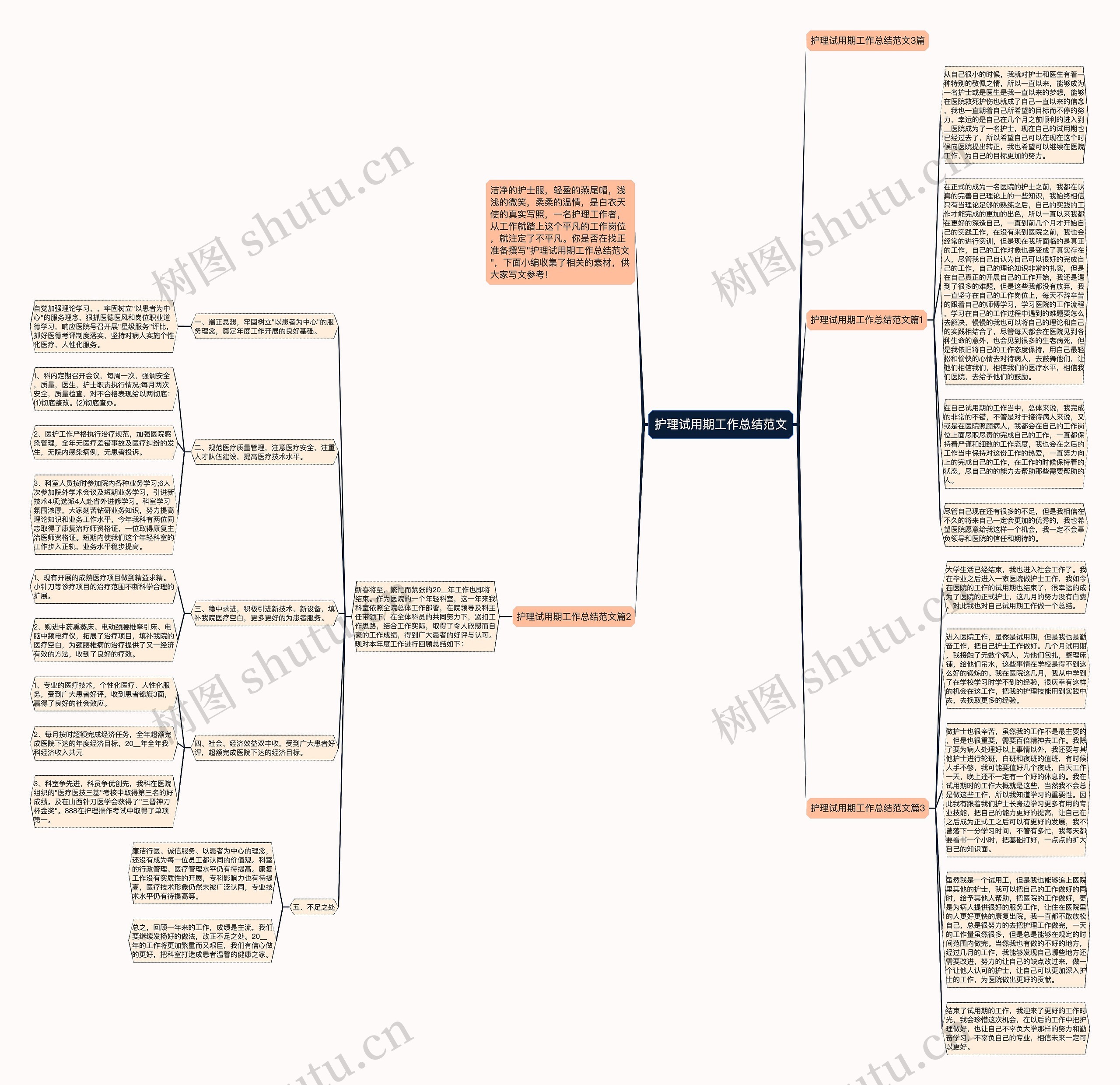 护理试用期工作总结范文思维导图