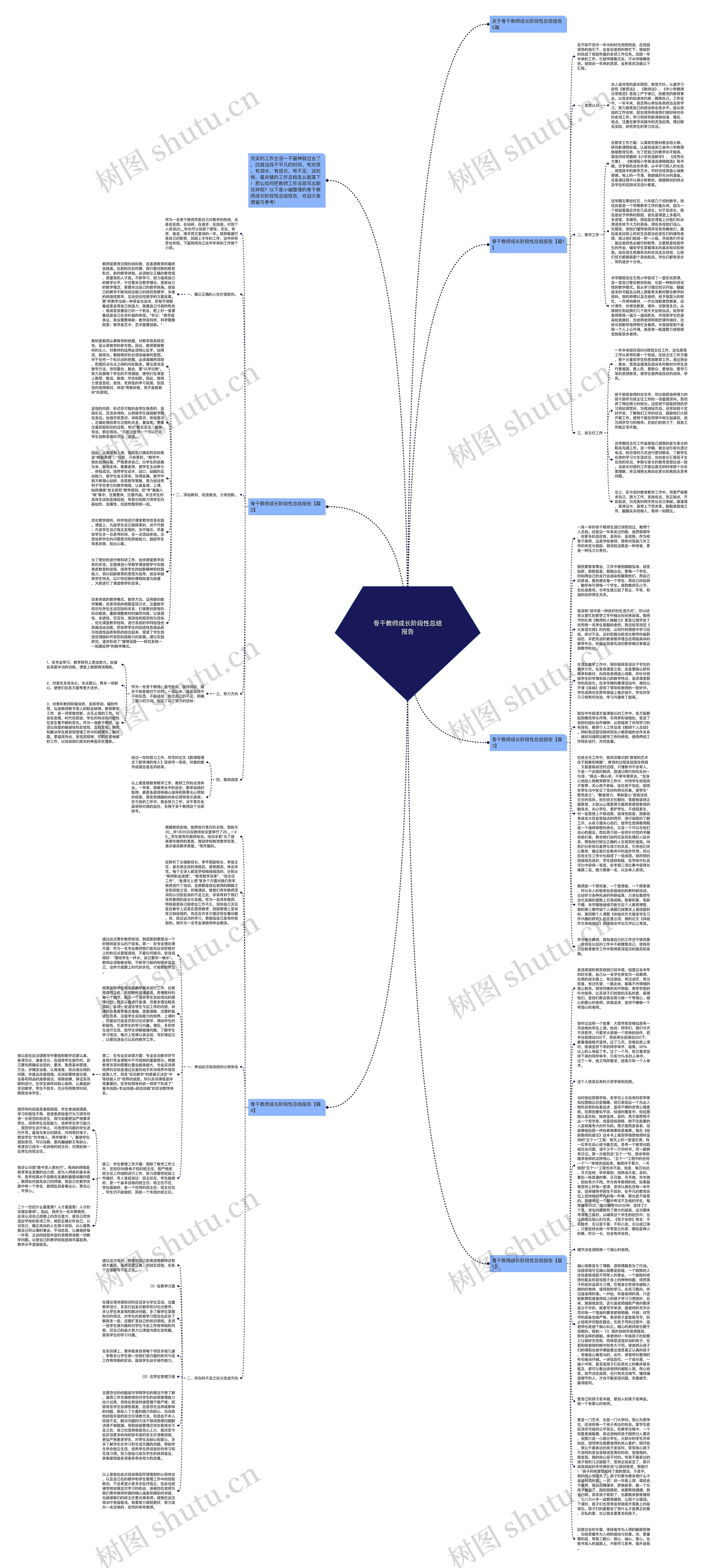骨干教师成长阶段性总结报告思维导图