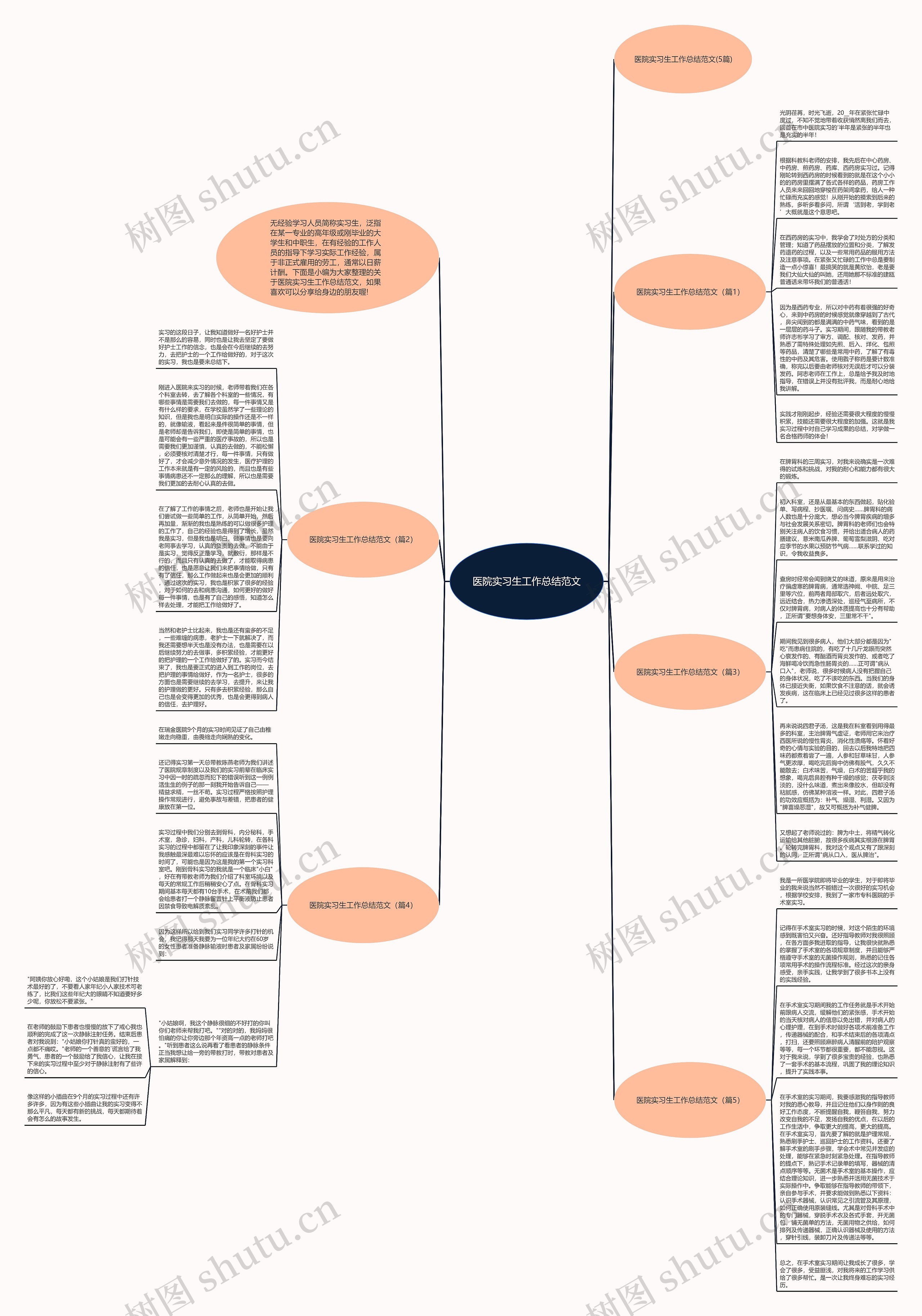 医院实习生工作总结范文思维导图